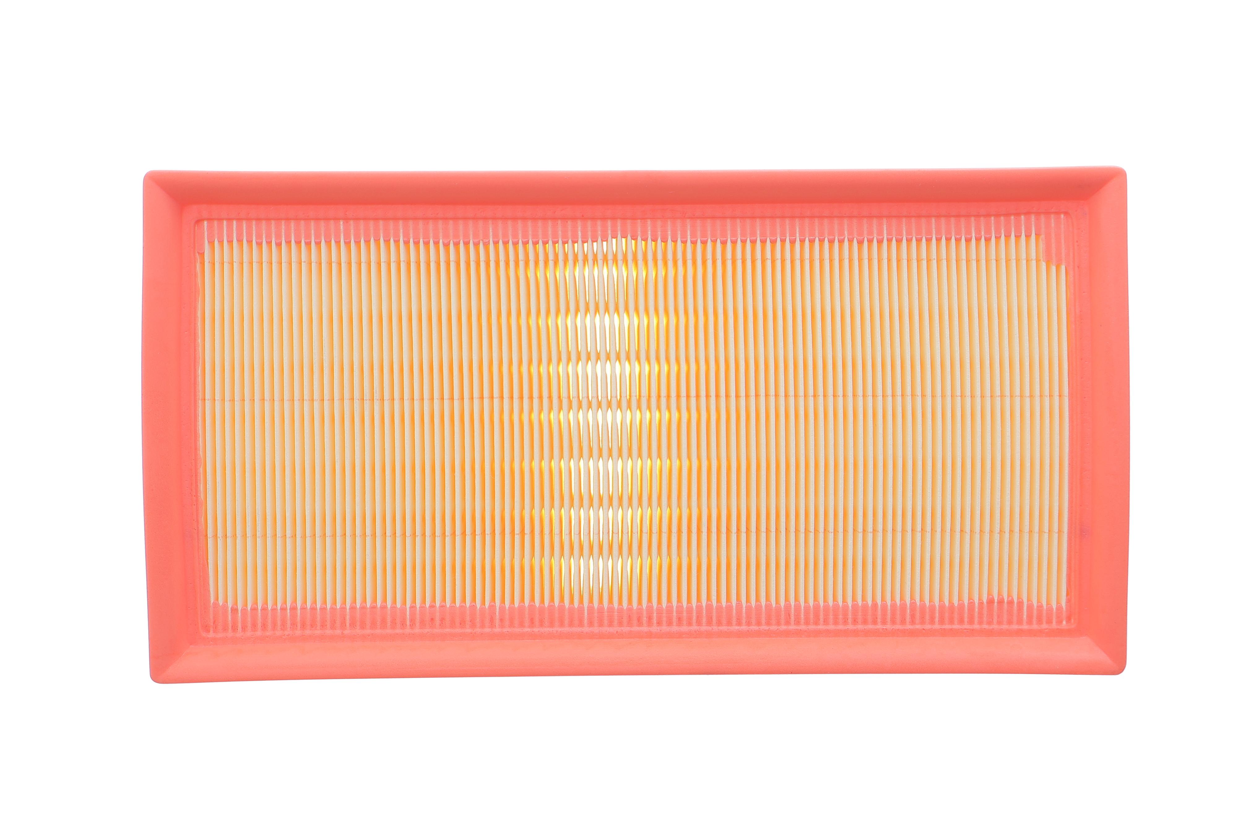 Фільтр повітряний BMW X5 (E53) 3.0i 00-06/7 (E38) 750i 94-01 (M73/M54)