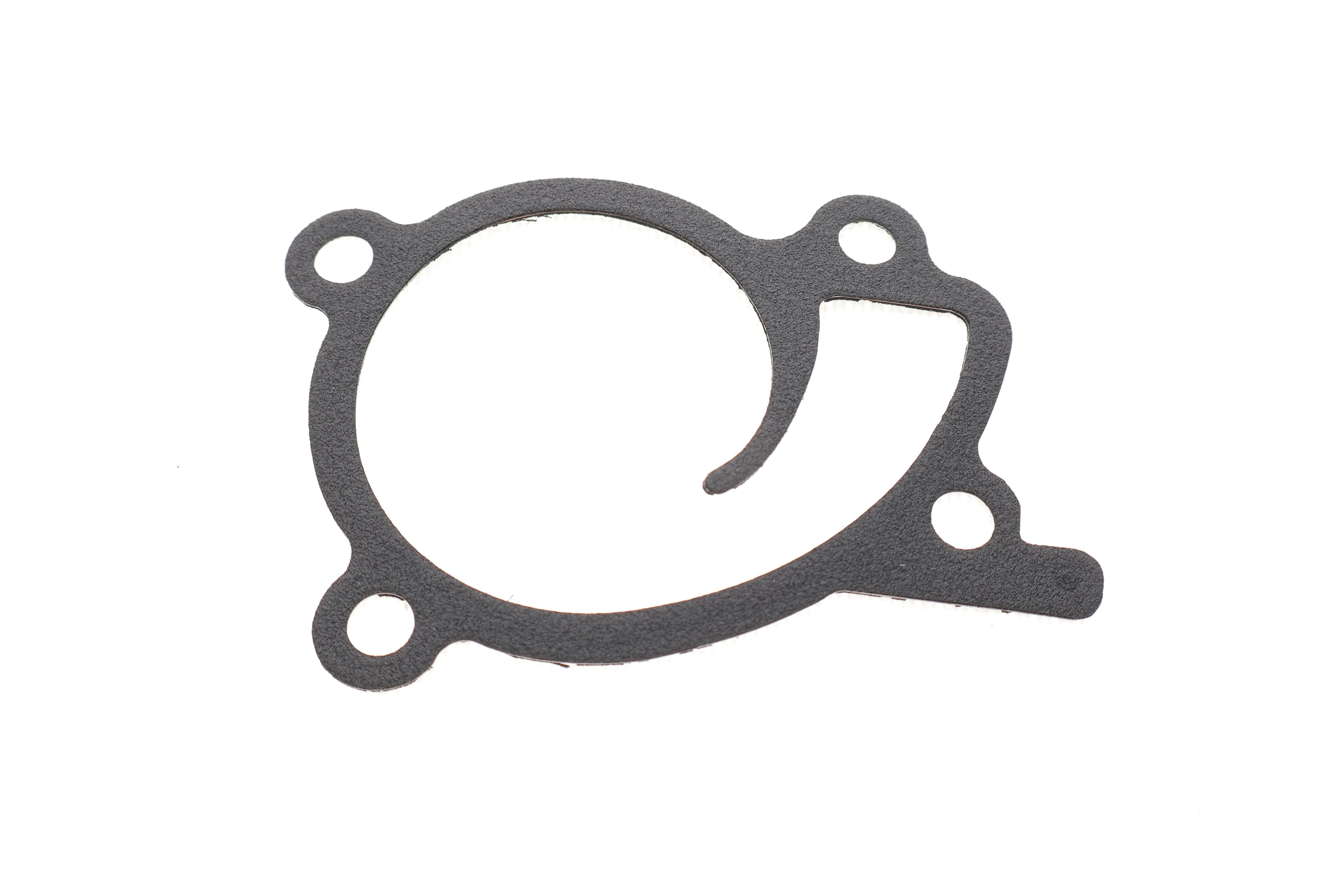 Прокладка помпи води Renault Kangoo 1.2 TCe 13-