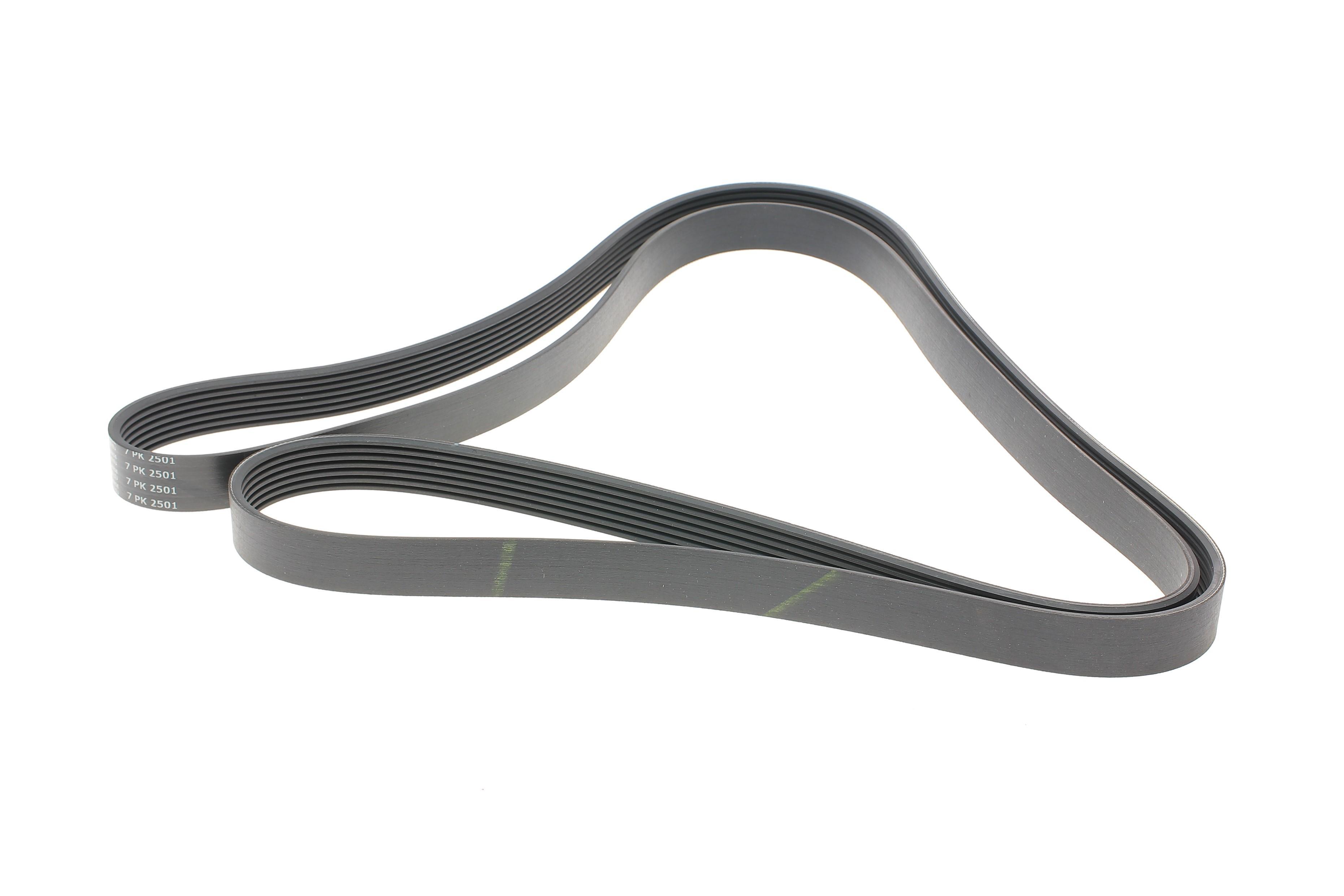 Ремінь генератора Audi Q7 6.0 TDI 06-09 (7PK2501)