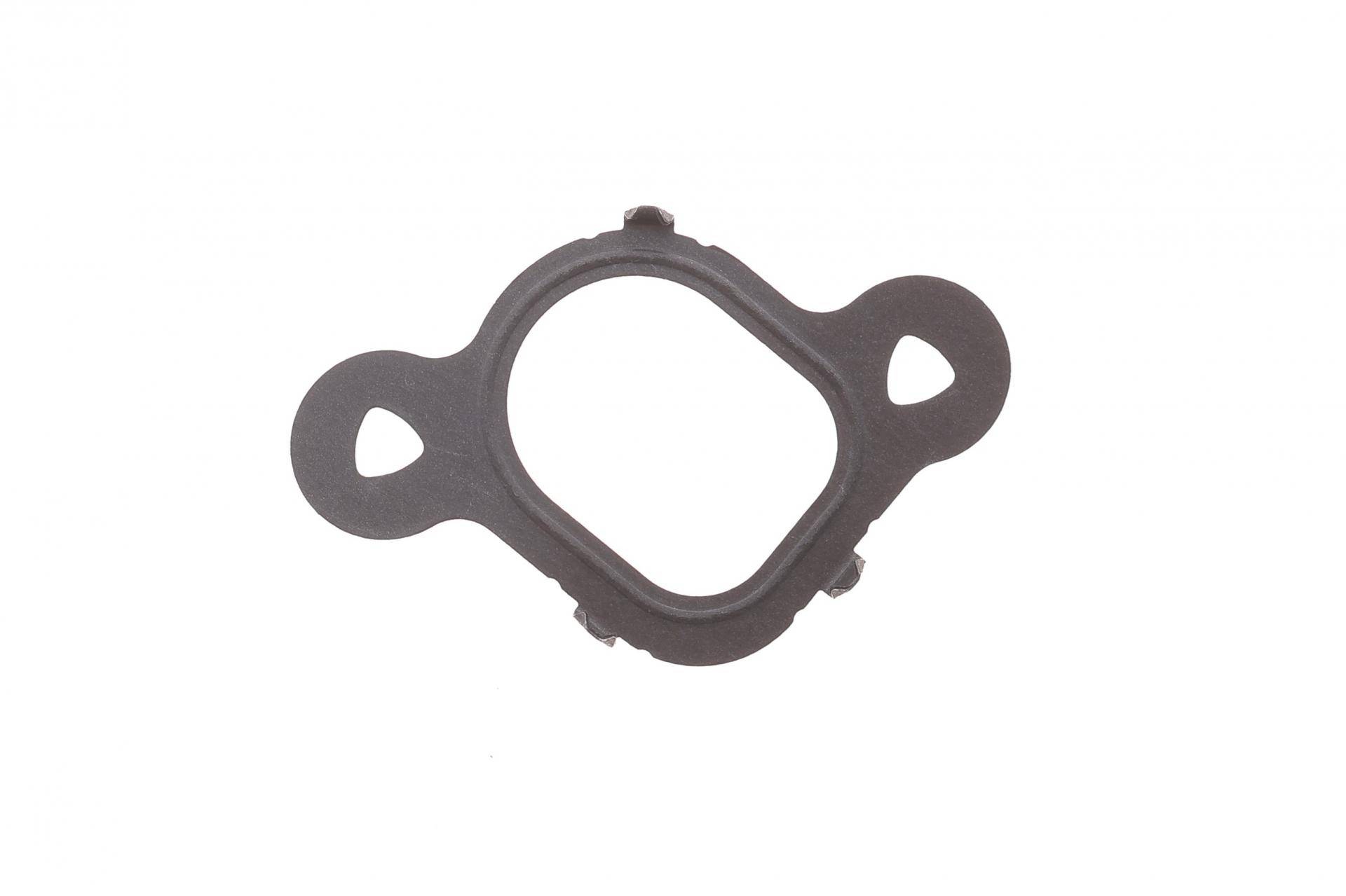 Прокладка колектора впускного VW T5 2.5 TDI 03-10 (1 цил)