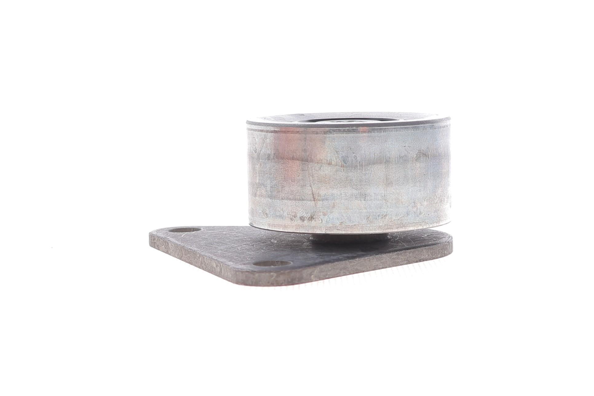 Ролик ГРМ Ford Focus/Renault Laguna 95-11 (паразитний) (53х27)