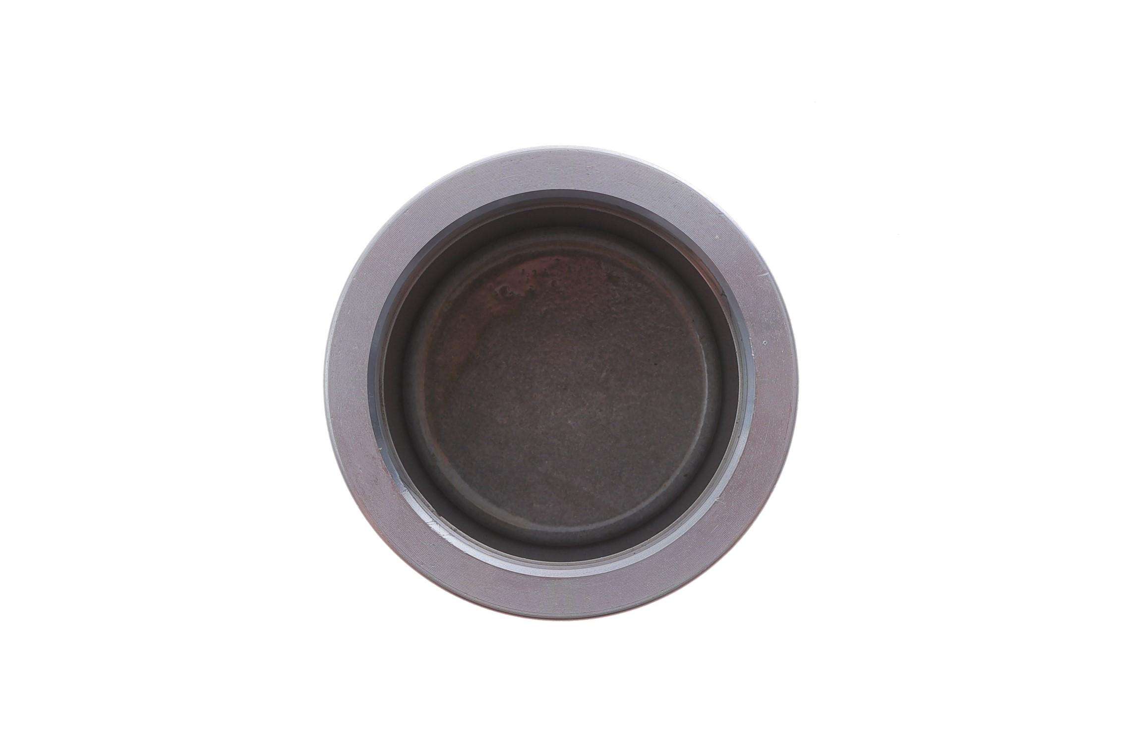 Поршень супорта (переднього) MB Sprinter/VW LT 28-46 (60x58,15mm) (Brembo)