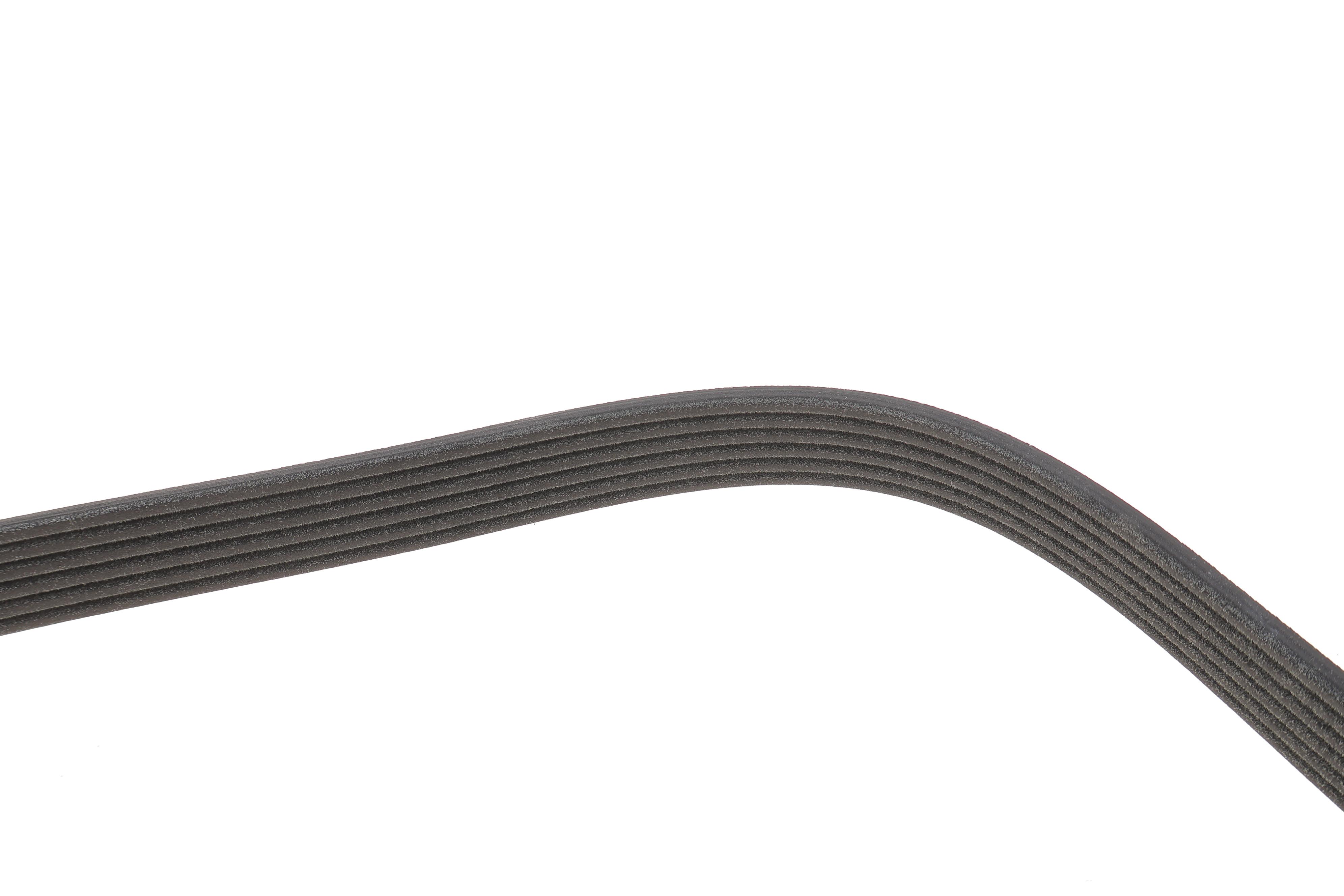 Ремінь генератора Skoda Octavia/VW Golf 1.6-2.0/1.9TDI 97-13/Passat B6/B7 1.8-2.0TSI/T5 1.9TDI 03-15