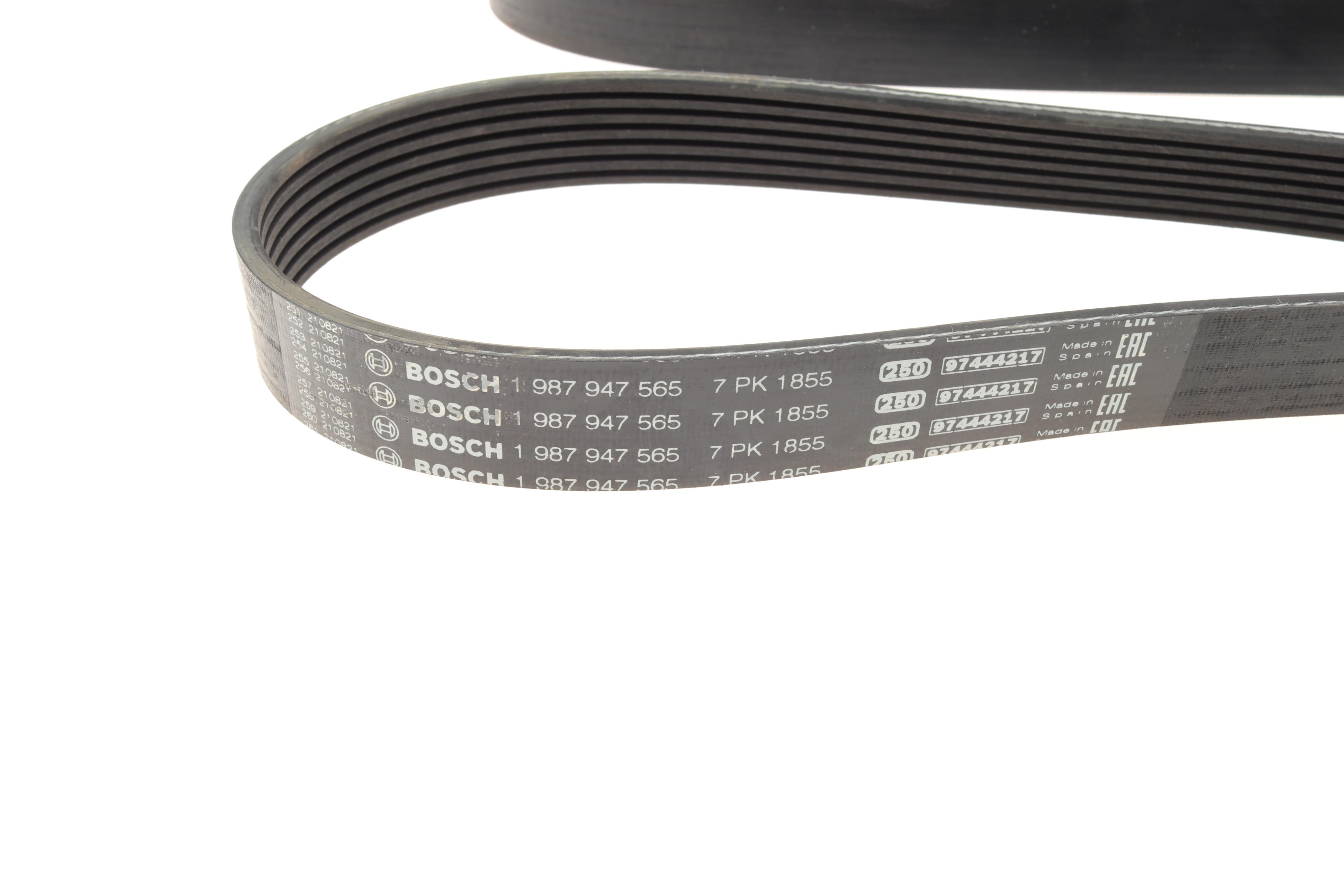 Ремінь генератора BMW 3 (E90) 06-11 (M54) (7PK1855)