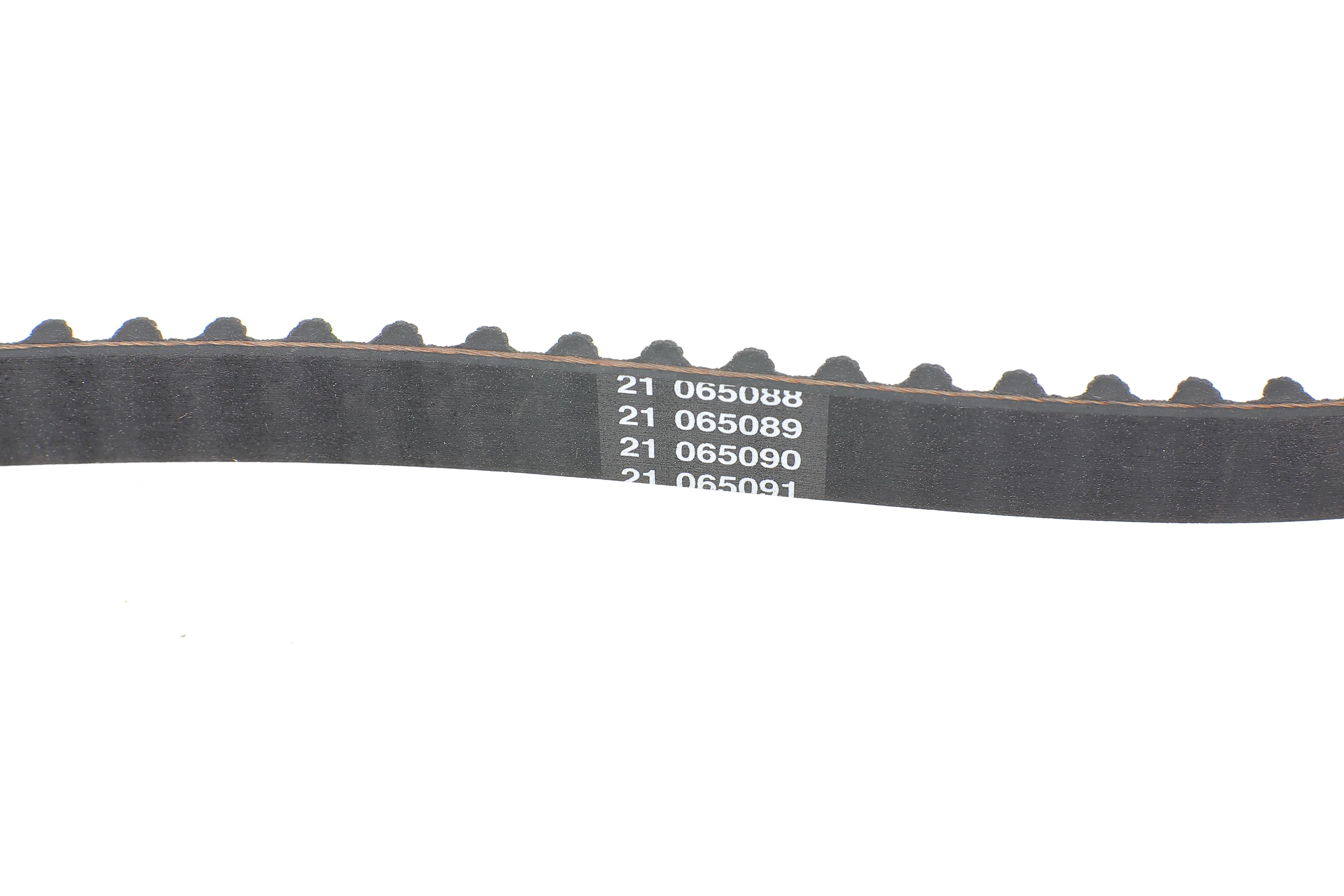 Ремінь ГРМ Renault Kangoo 1.4/1.6i (17.3x96z)