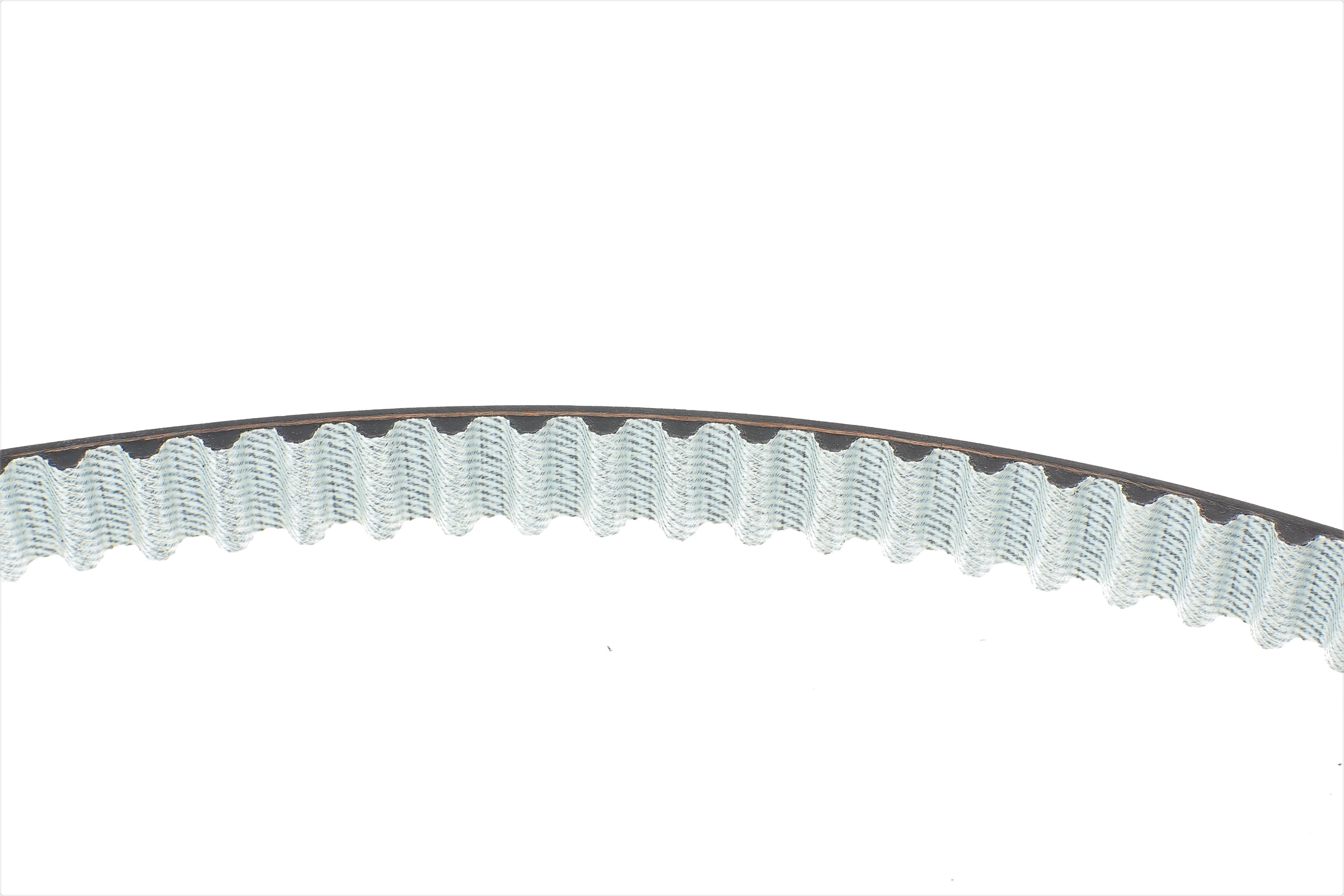 Ремінь ГРМ Renault Kangoo 1.4/1.6i (17.3x96z)