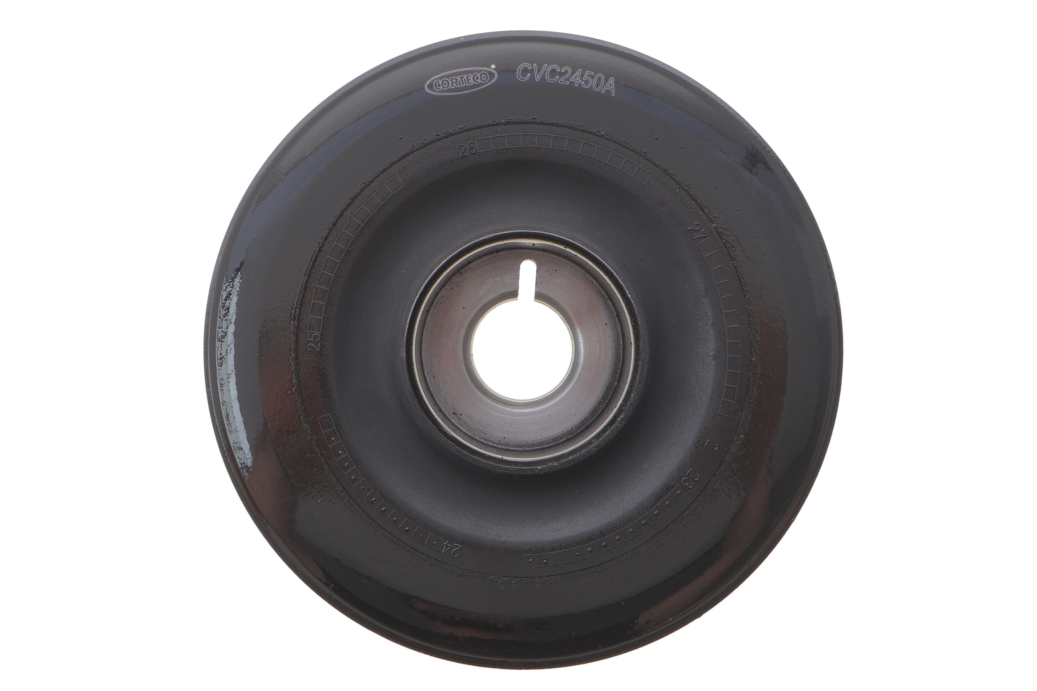 Шків колінвалу Renault Megane/Kangoo/Clio 1.5 dCi 08-/05- (з болтом)