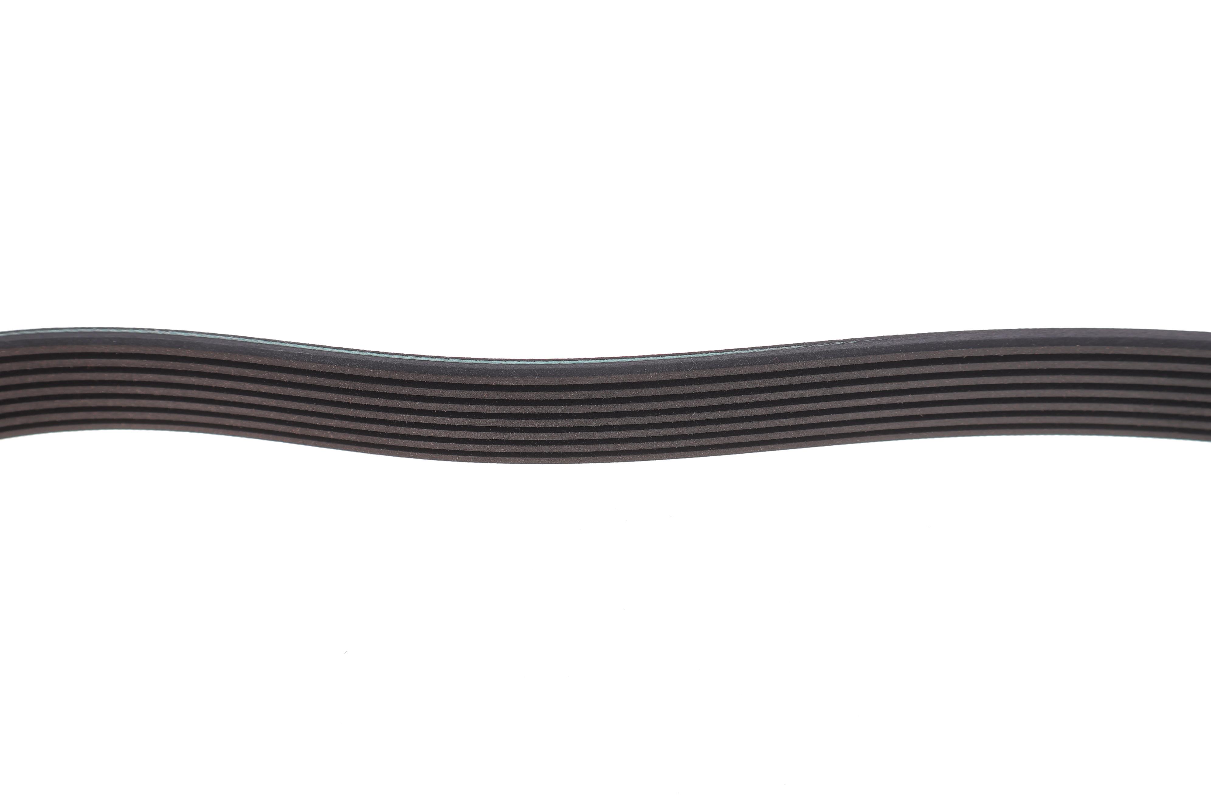 Ремень генератора Nissan Navara 2.5 dci 05-