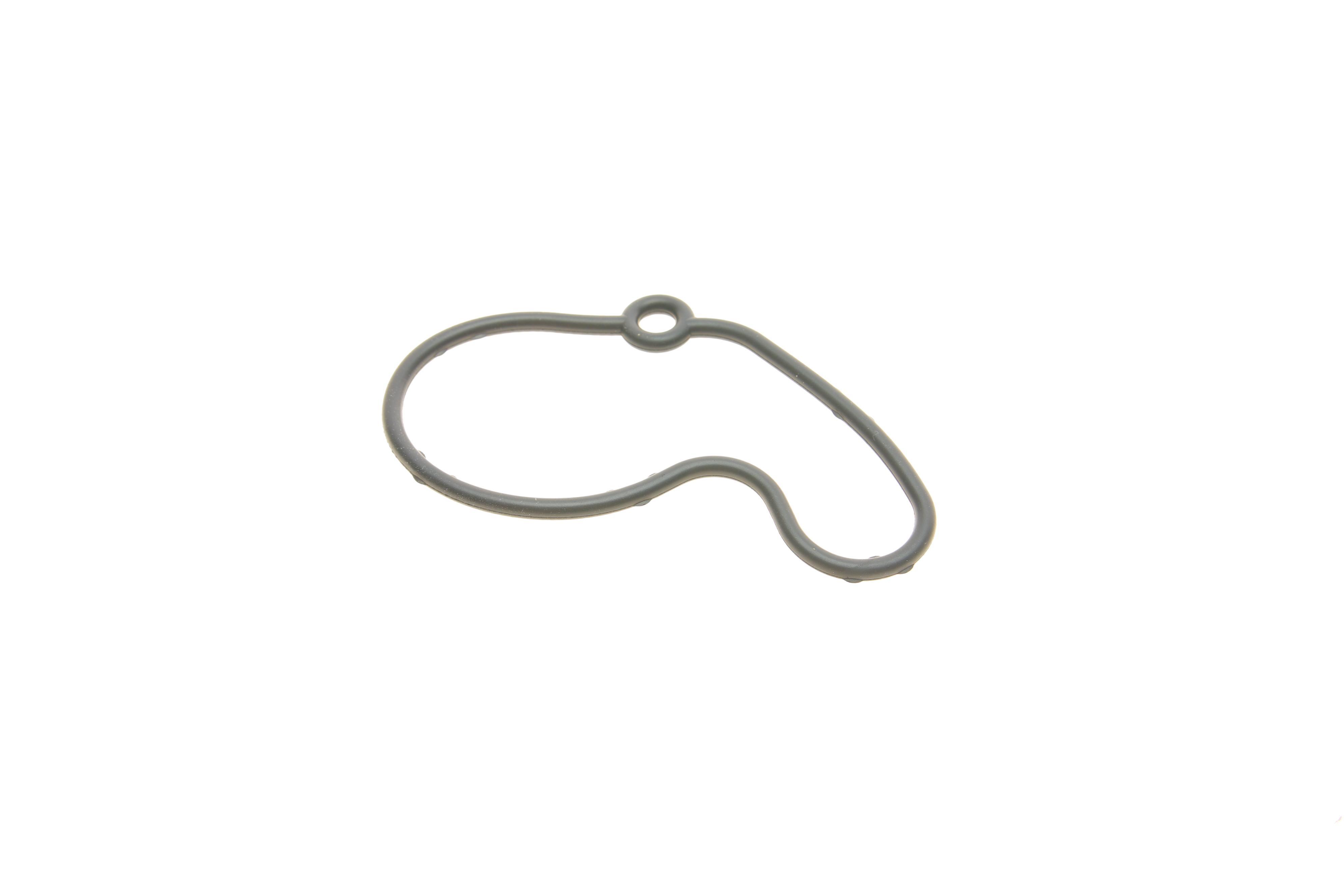 Прокладка насоса вакуумного VW Golf IV/Caddy II95-/Skoda Fabia 1.9SDI/TDI 95-07