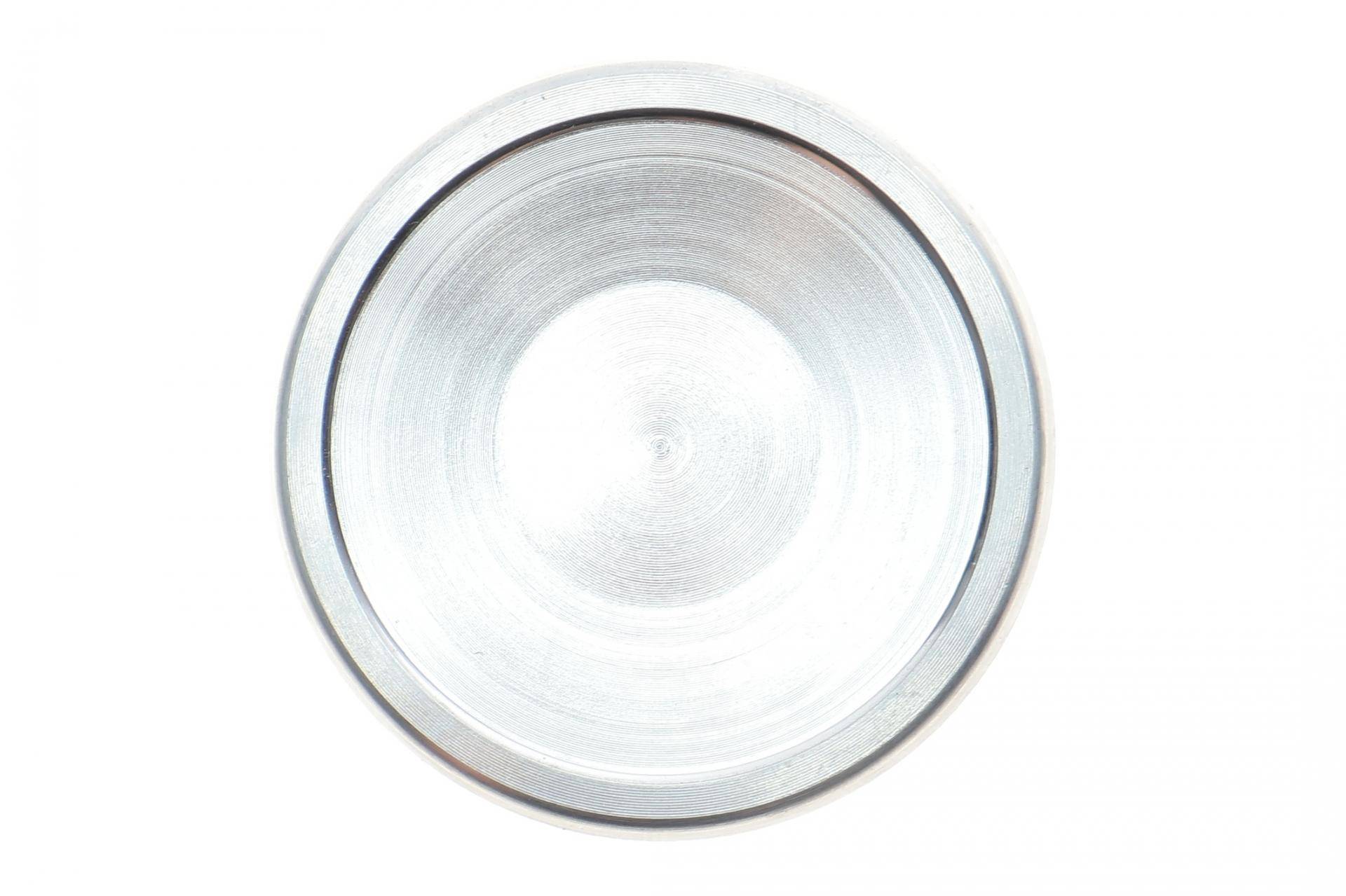 Поршень супорта (переднього) VW Golf III/Skoda Fabia I/II 91-14 (48x54,7mm)