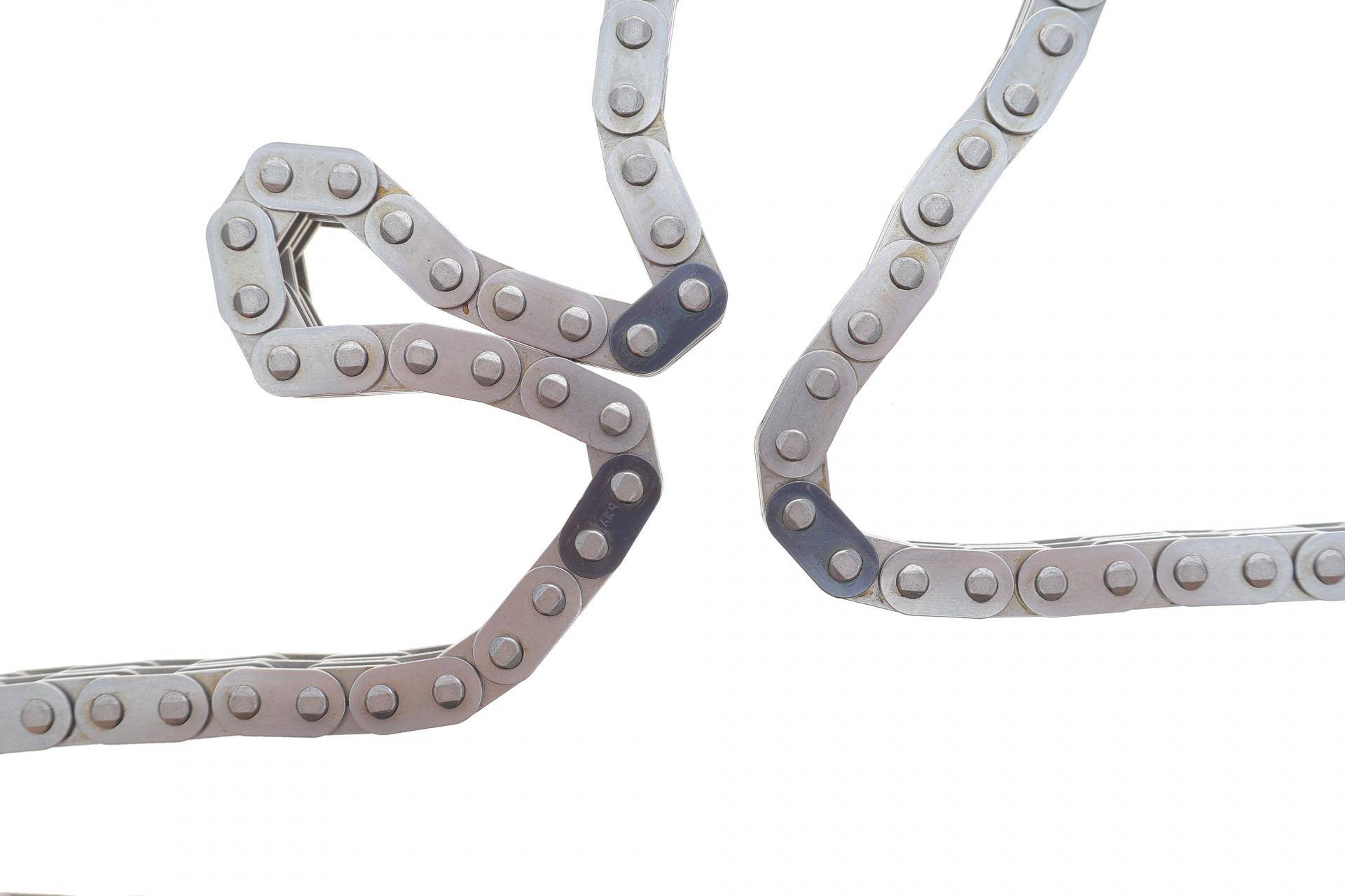 Комплект ланцюга ГРМ Ford Mondeo III 2.0 TDCi/Transit 2.4 DI 00-06 (ланцюг, натяжник)