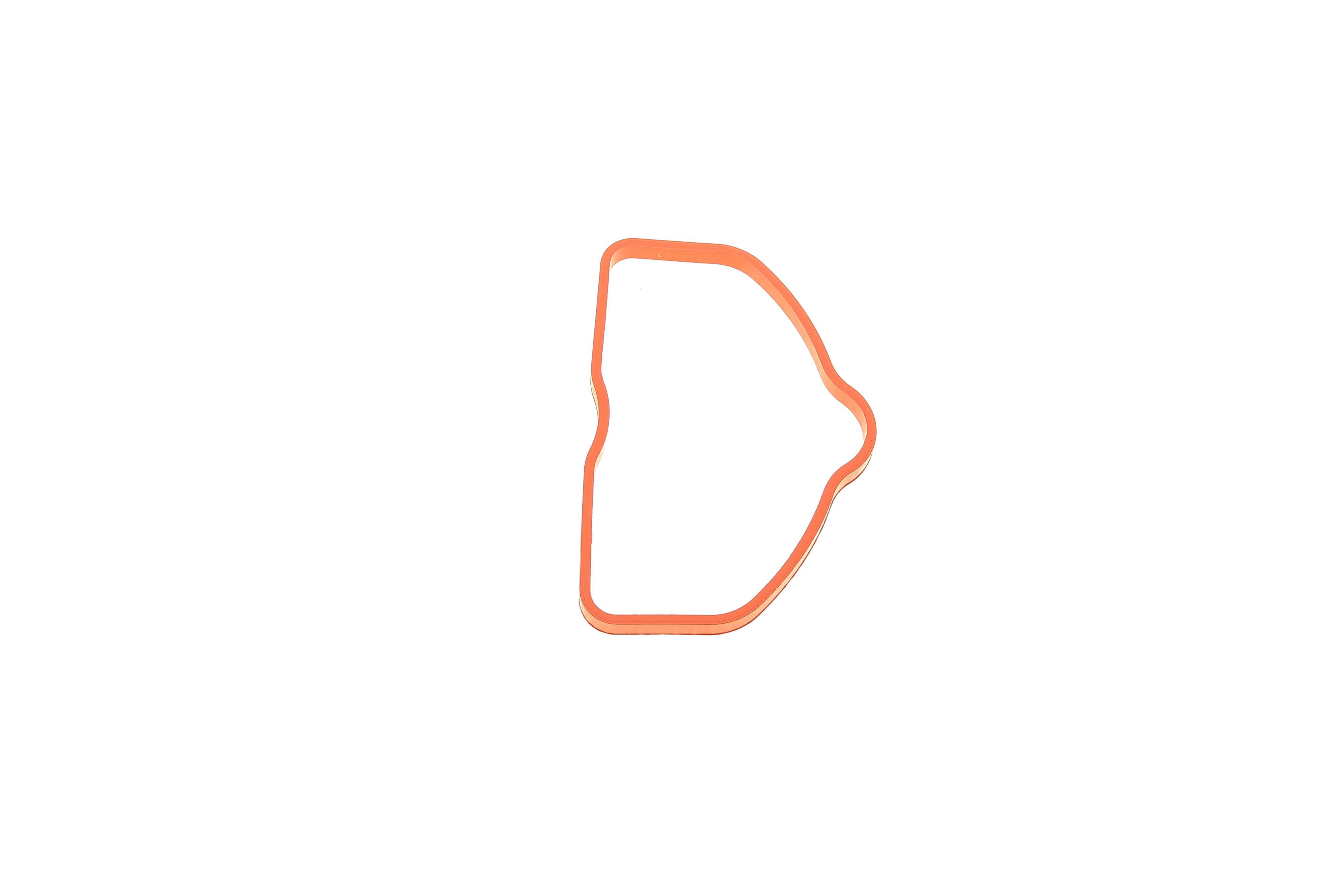 Прокладка колектора впускного Audi A4/A6/A8/Q7 3.0 TFSI 08-19