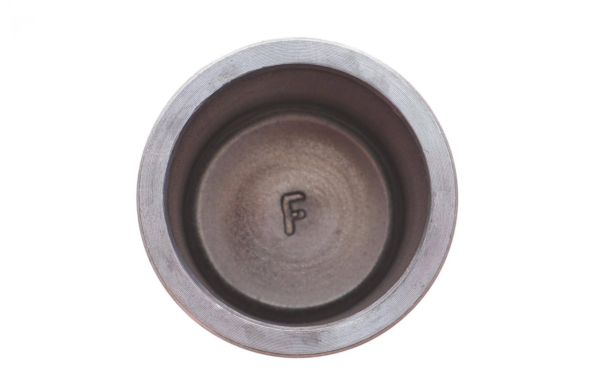 Поршень супорта (переднього) Iveco Daily 99-06 (44x55mm) (Brembo)