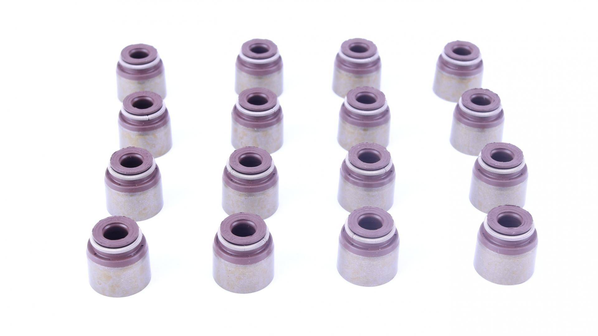 Сальник клапана (впуск/випуск) Renault Kangoo 1.2 TCe 13- /Laguna III 2.0 16V (к-кт 16шт), H5F/M4R