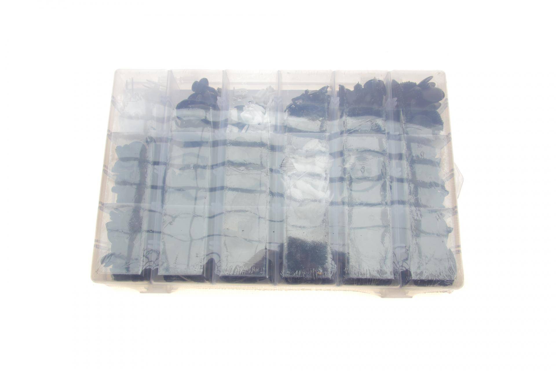 Набір кліпс пластикових Ford (415шт)