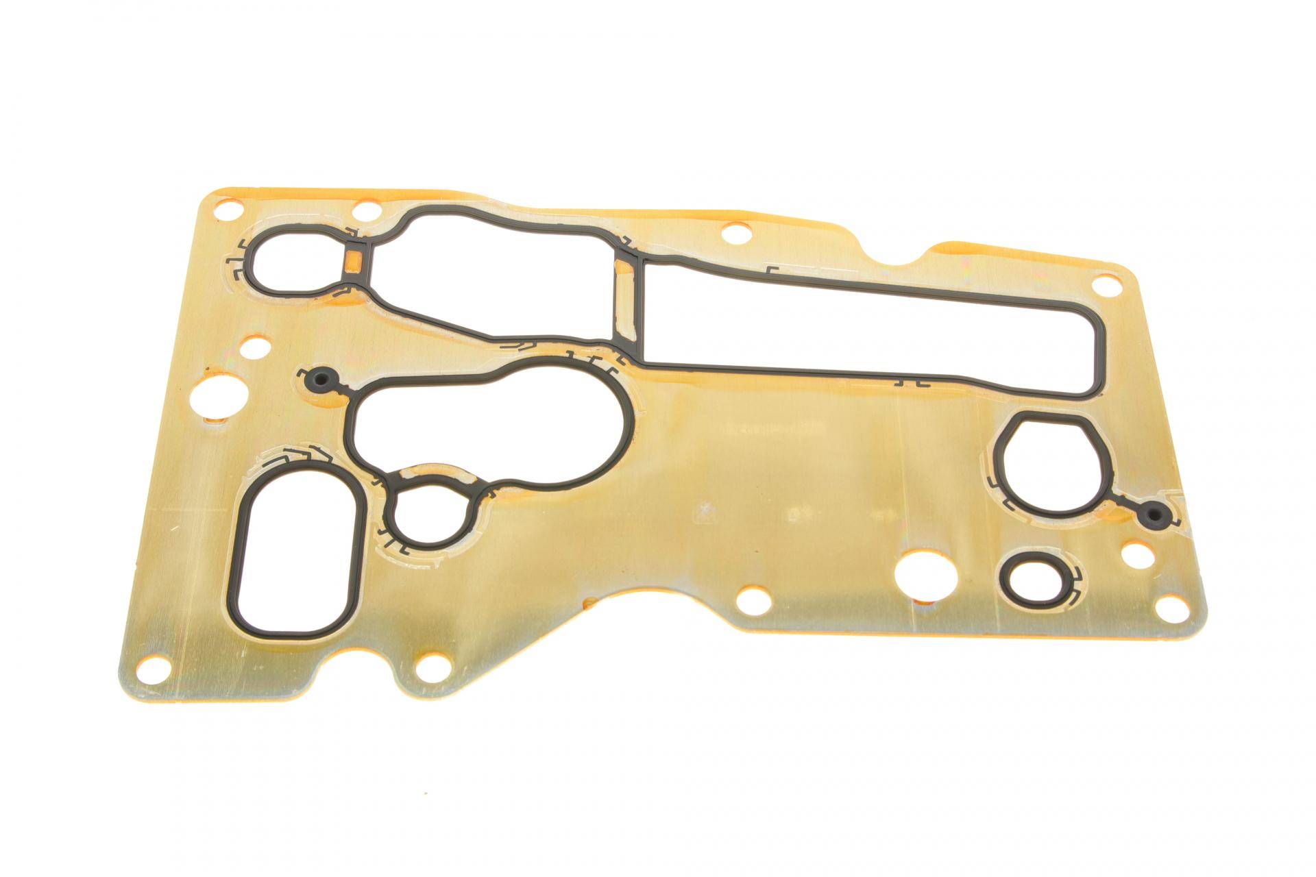 Прокладка радіатора масляного BMW 5 (F10)/7 (F01-F04)/X5 (E70/F15/F85)/X6 (E71/E72) 3.0D 10- N57 D30