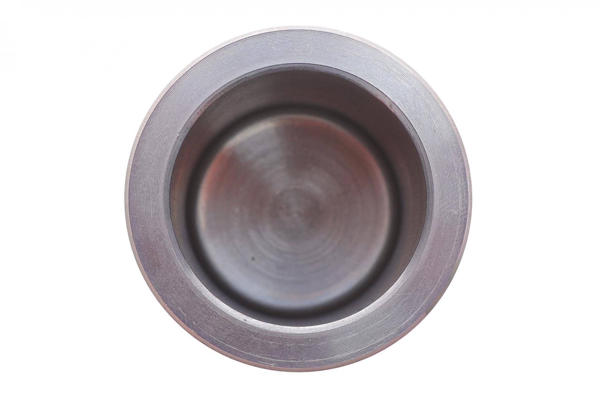 Поршень супорта (переднього) Smart ForTwo 03- (42x46.9mm) (Bosch)