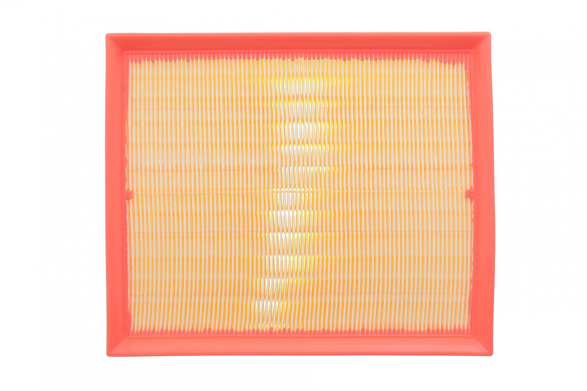 Фільтр повітряний Land Rover Range Rover/Discovery 2.5TD/4.0/4.6 96-02/Defender 2.5 TD5 98-16