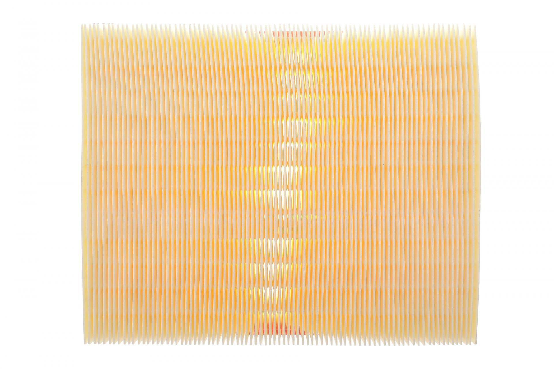 Фільтр повітряний Land Rover Range Rover/Discovery 2.5TD/4.0/4.6 96-02/Defender 2.5 TD5 98-16