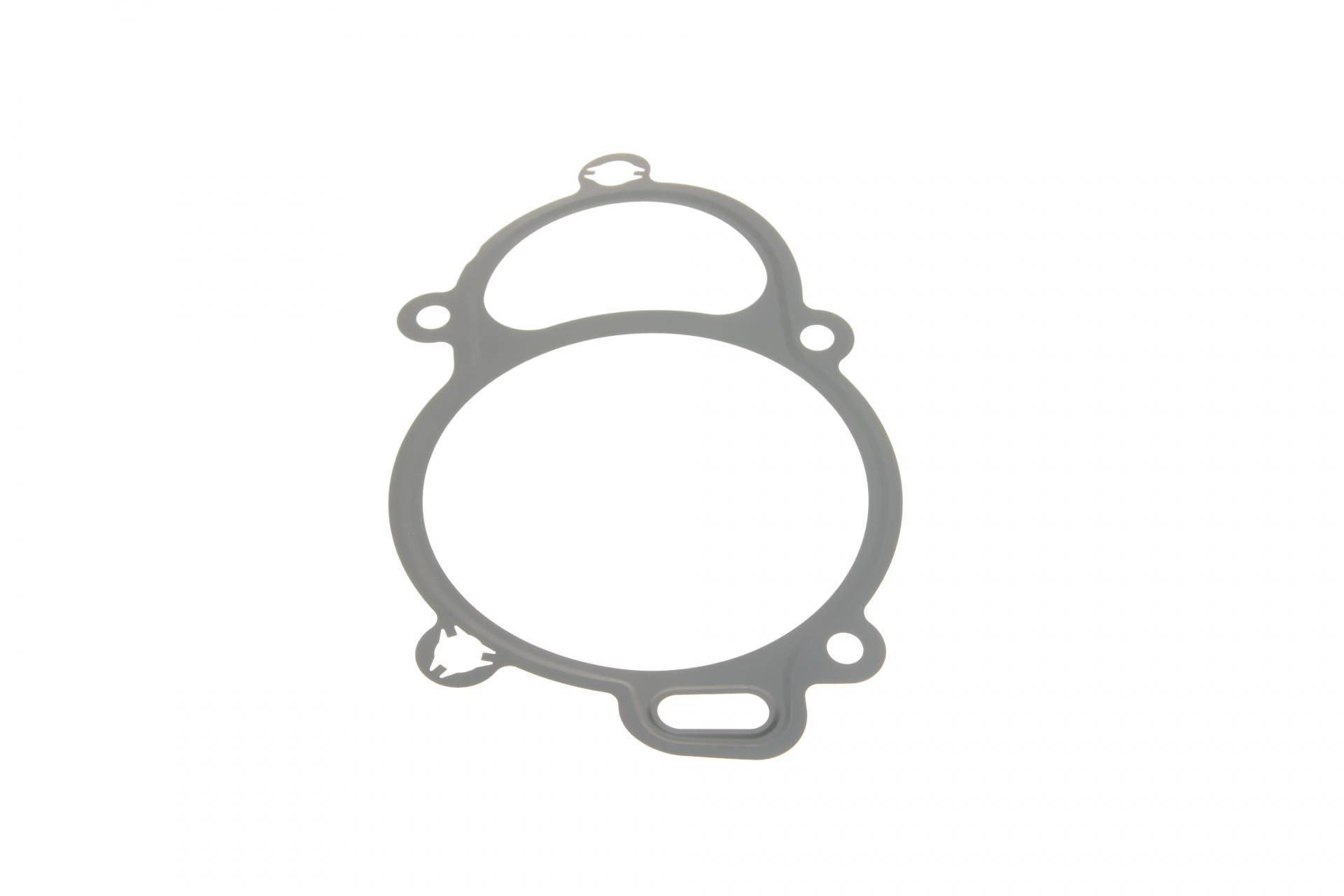 Прокладка регулятора фаз газорозподілу VW Caddy IV 2.0 TDI 15-20