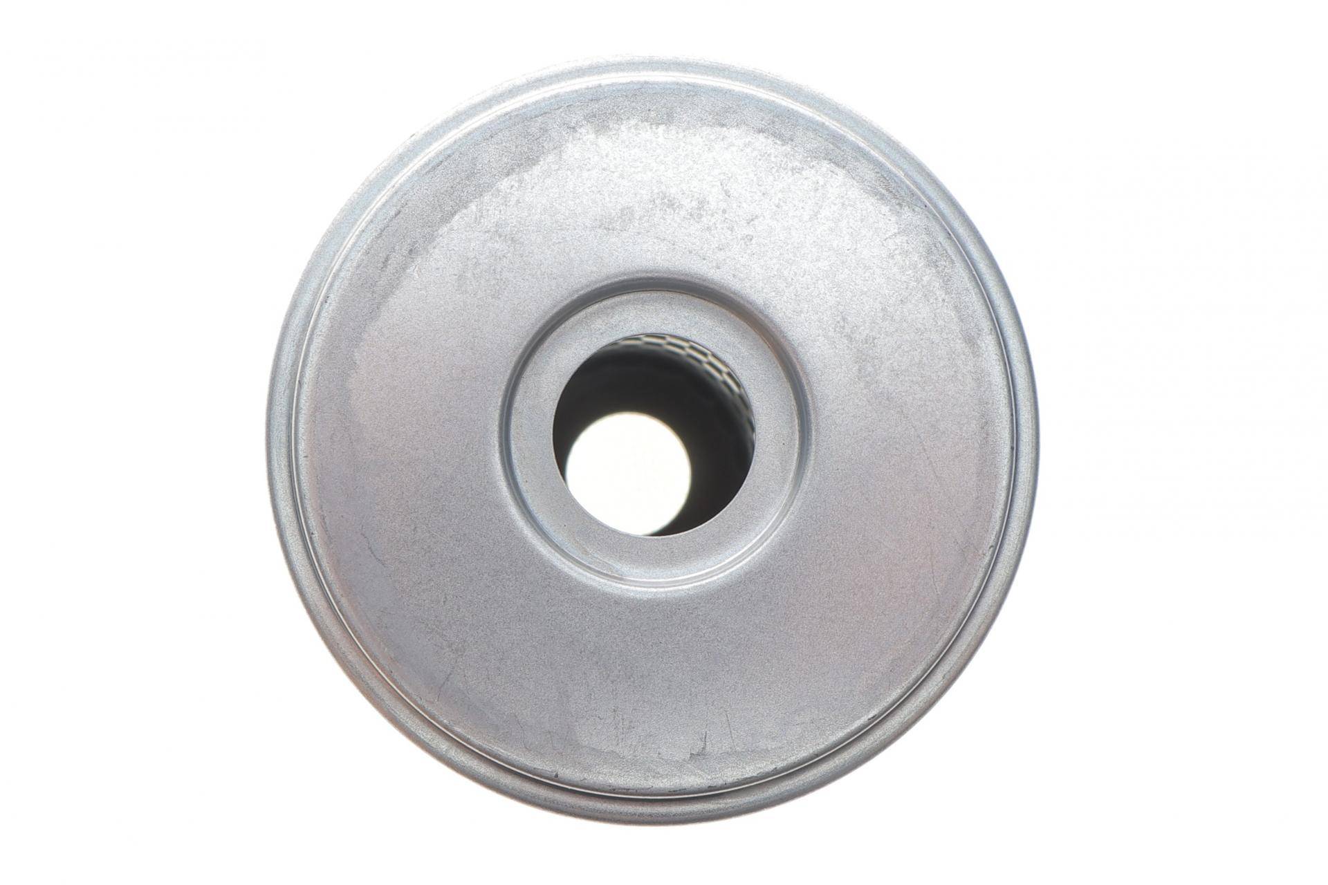 Фільтр паливний Renault Trucks C/G/Manager/TR