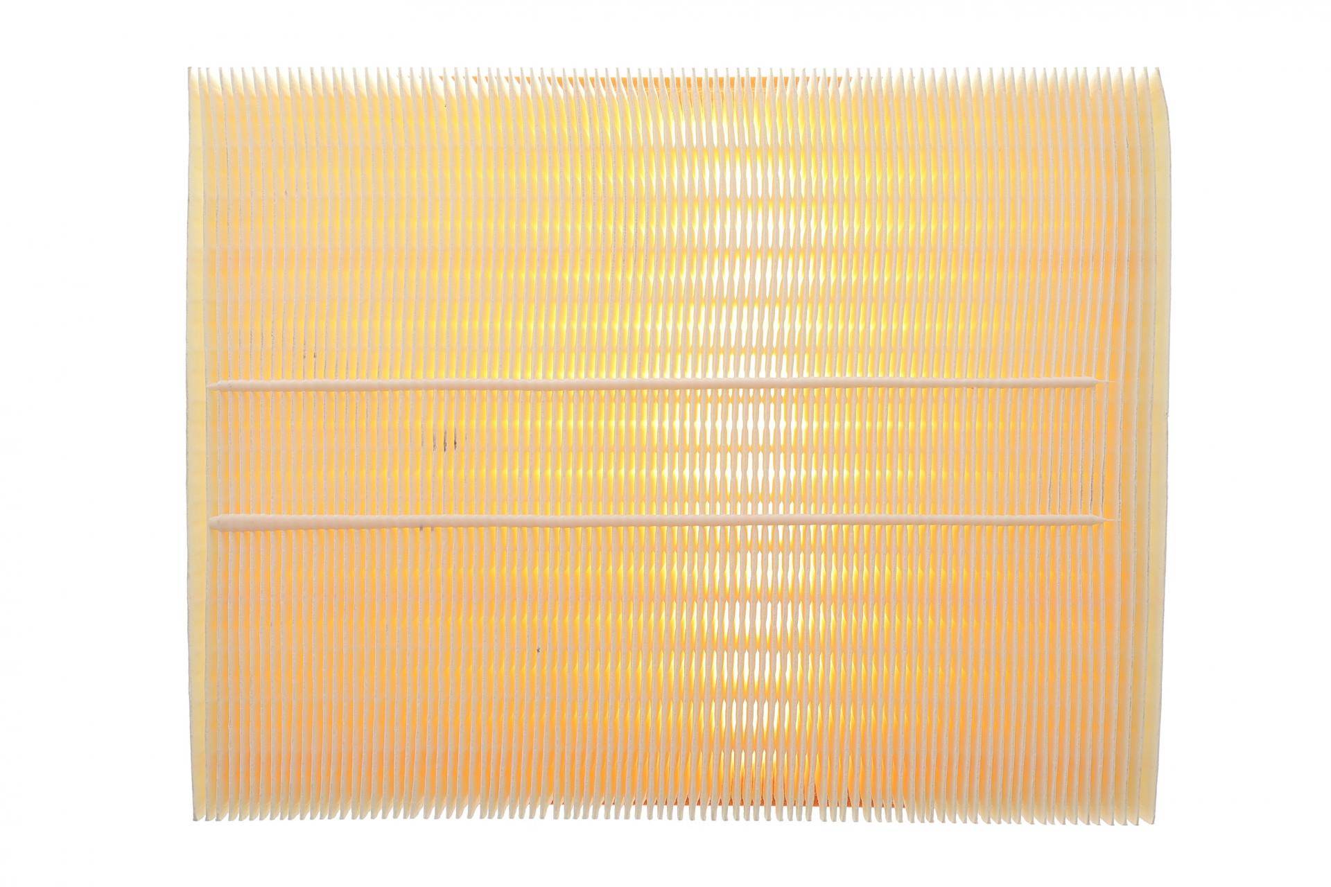 Фільтр повітряний Ford Ranger 2.0EcoBlue 4x4 18-