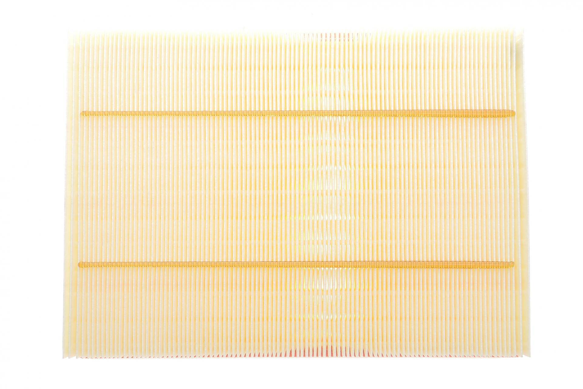 Фільтр воздушный Land Rover Discovery/Range Rover Sport 2.7-3.0TD/4.0/4.4 04-/Range Rover 3.0TD 12-