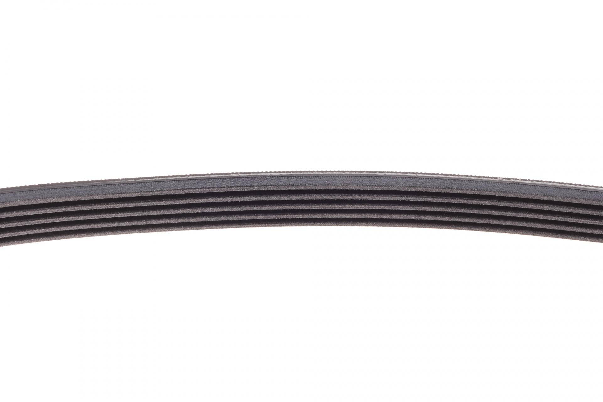 Ремінь генератора BMW 3 (E46)/5 (E39) 1.8D/2.0D 98-03 (5PK836)