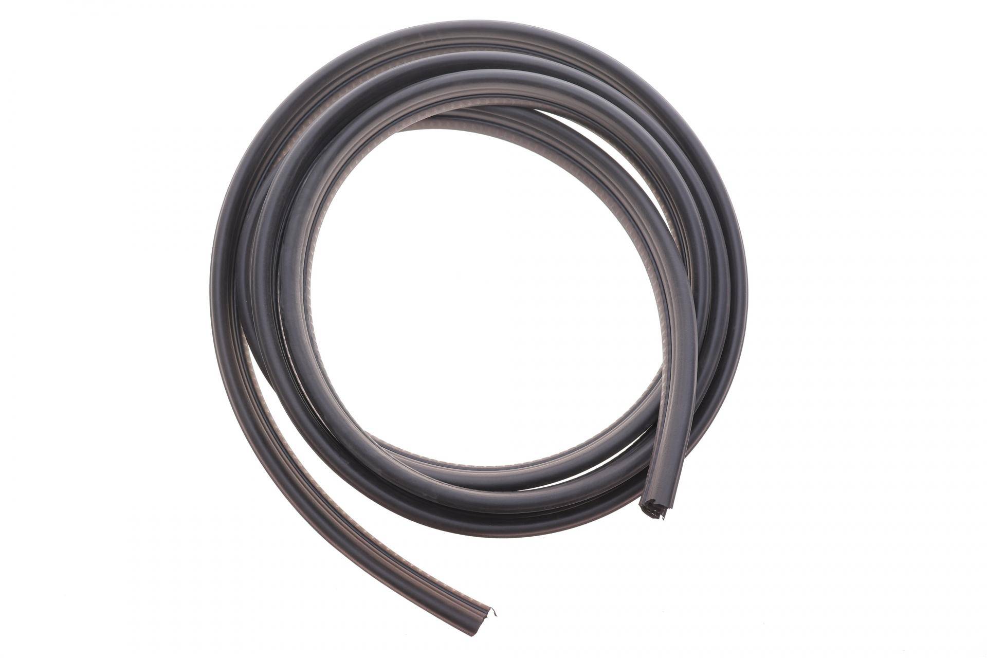 Ущільнювач дверей (передніх) Renault Master/Opel Movano 10-