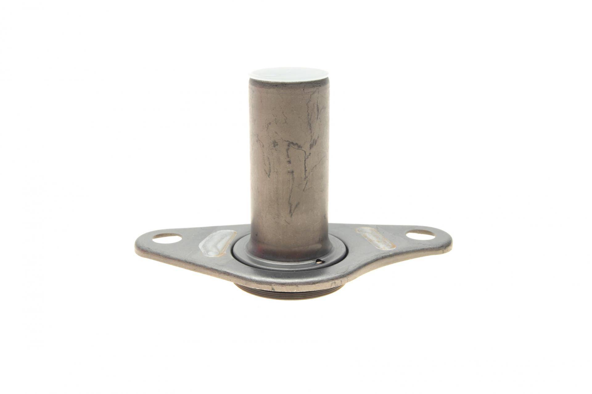 Сальник вала первинного КПП Renault Kangoo 1.5dCi/1.9dTi 00- (лійка) (24.45x40.22x95.20)