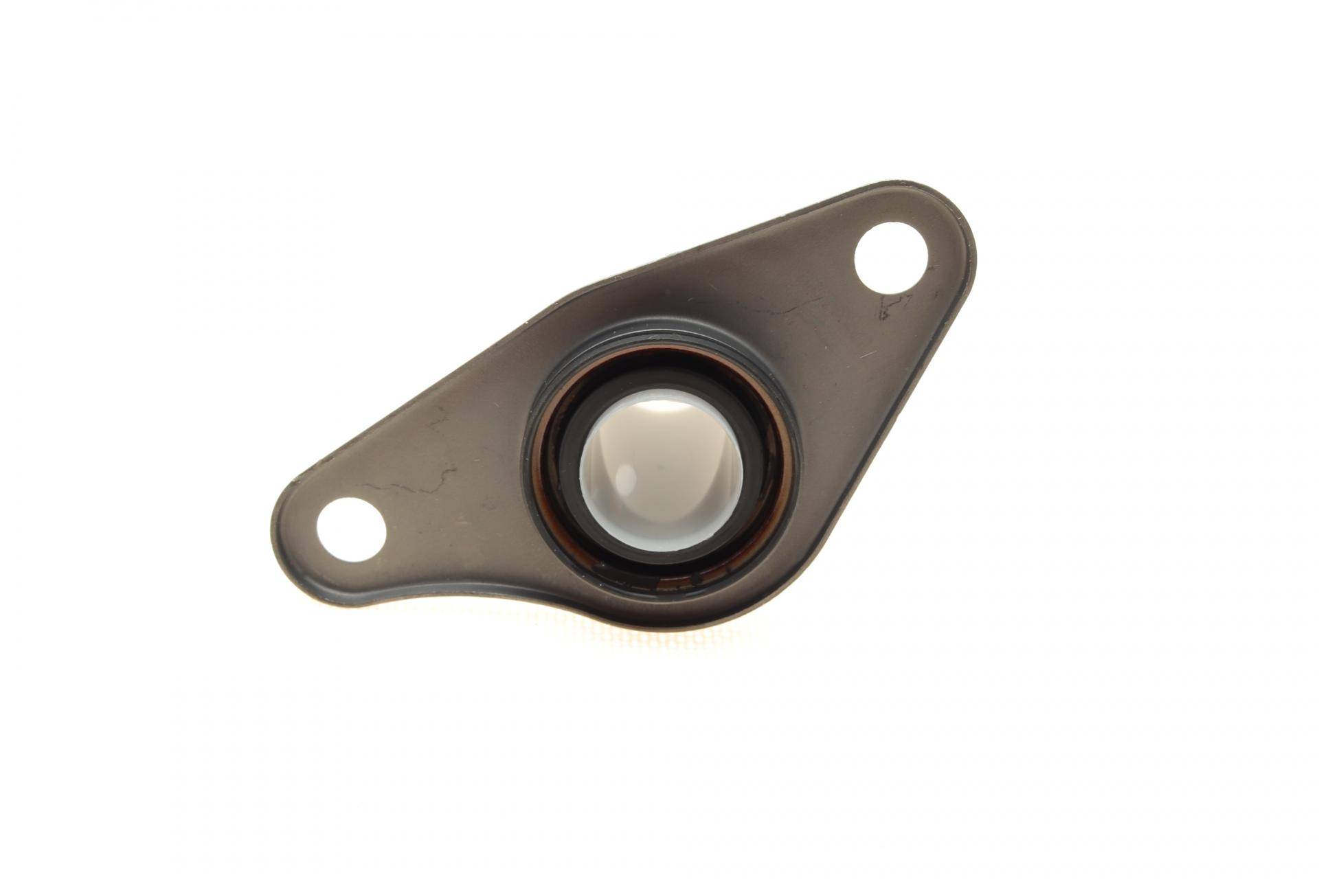 Сальник вала первинного КПП Renault Kangoo 1.5dCi/1.9dTi 00- (лійка) (24.45x40.22x95.20)