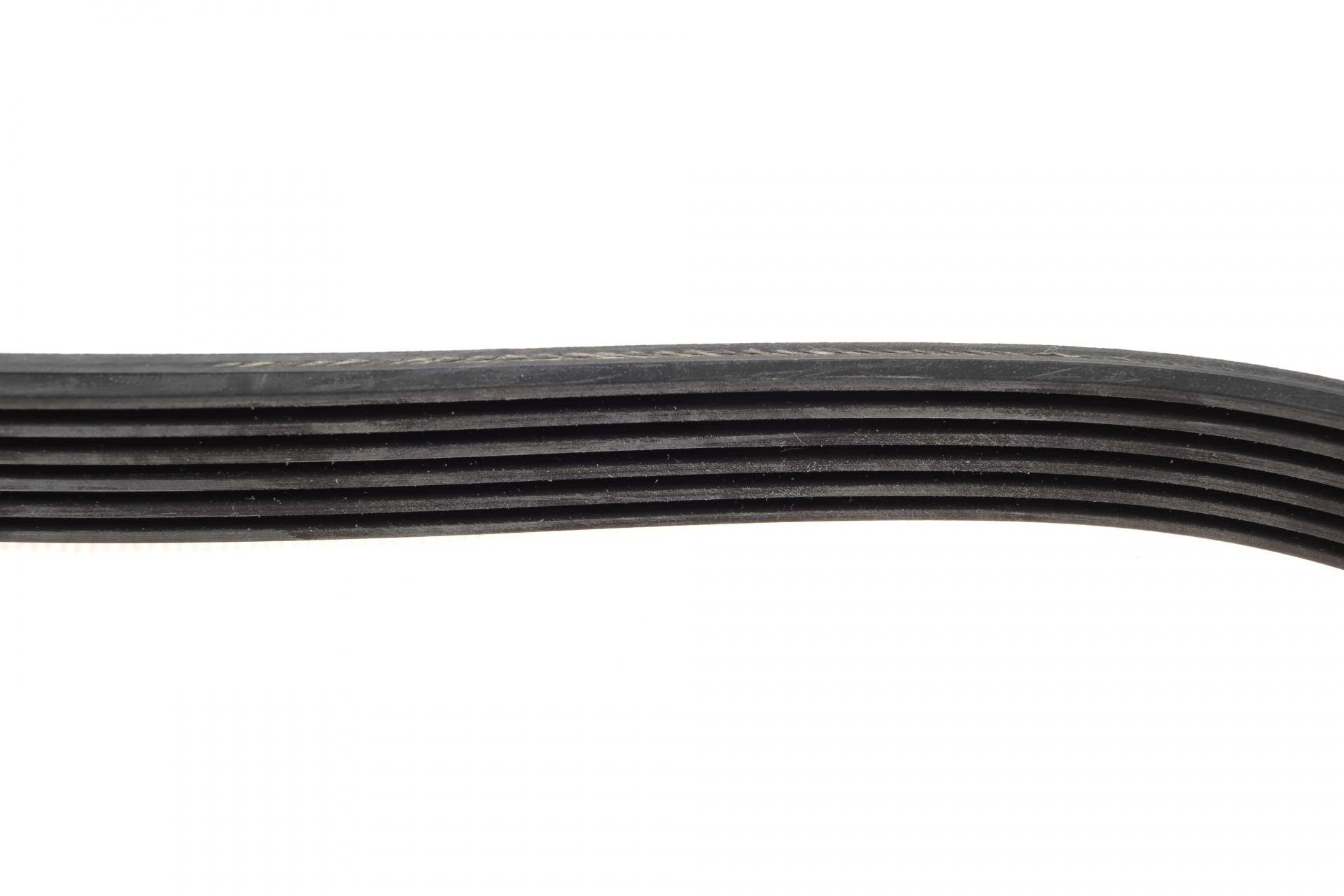 Ремінь генератора Ford Fiesta/Fusion 1.25-1.6Ti 01- (6PK1019)