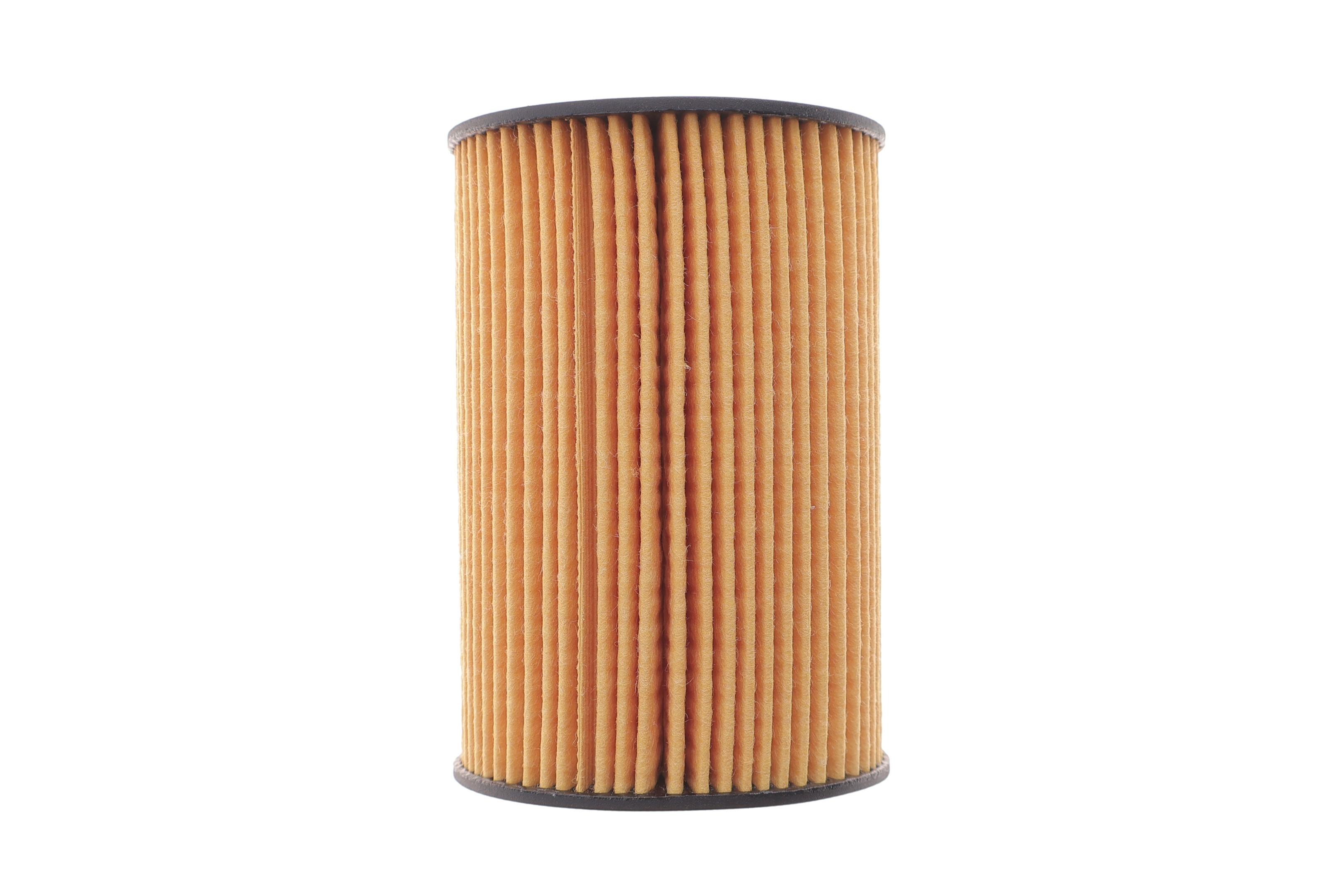 Фильтр масляный BMW 5 (F10)/7 (F01/F02/F03/F04)/X5 (F15/F85) 5.0 10- N63/S63