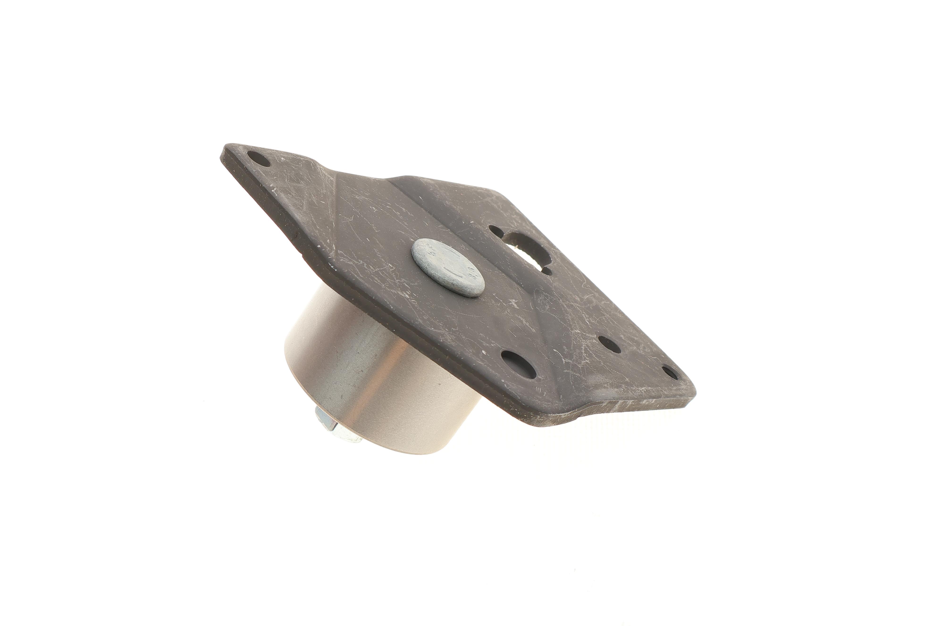 Ролик ГРМ Renault Trafic 1.9dCi (натяжний) (50х30.5)