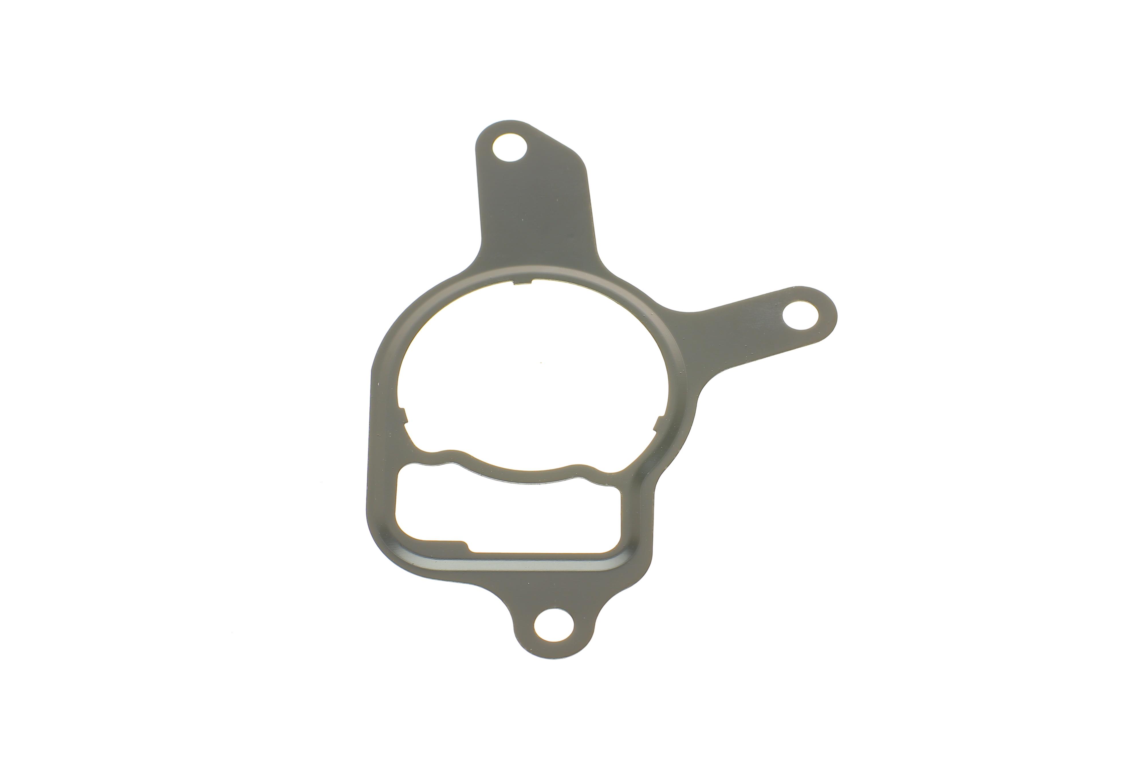 Прокладка насоса вакуумного VW Golf VI/Jetta III/IV 2.5 06-