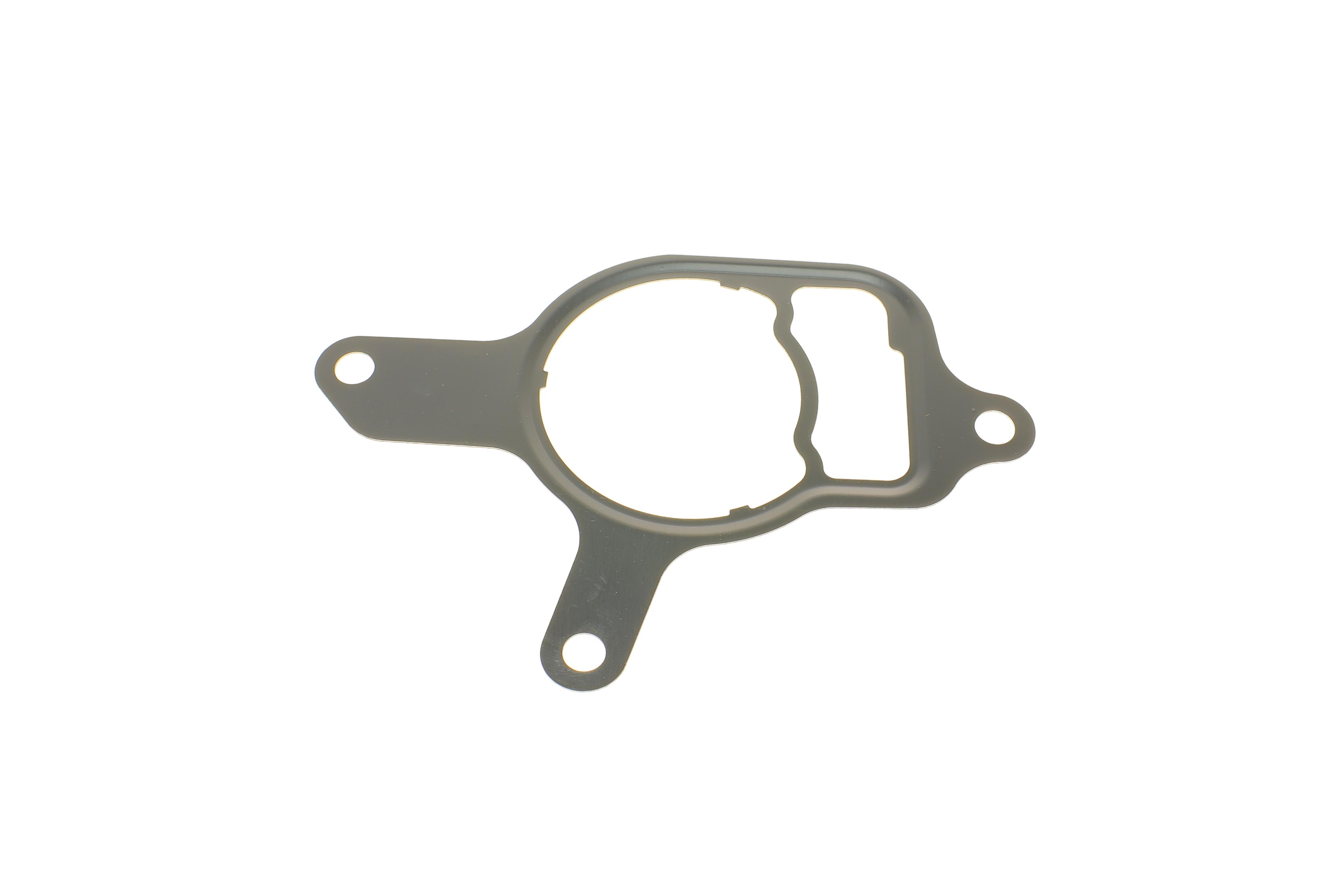 Прокладка насоса вакуумного VW Golf VI/Jetta III/IV 2.5 06-