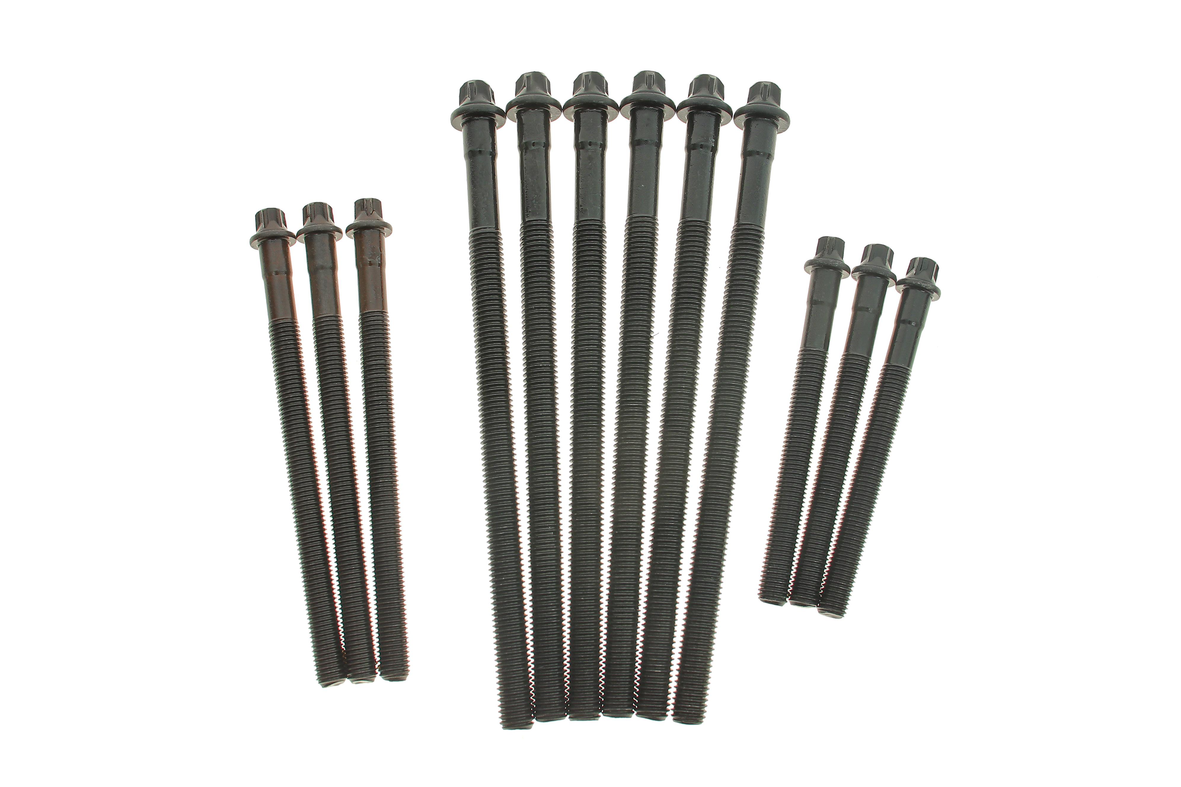 Болты головки (к-кт 12шт.) BMW 3 (E90)/5 (E60)/X3 (E83) 03-15 N43/N45/N46