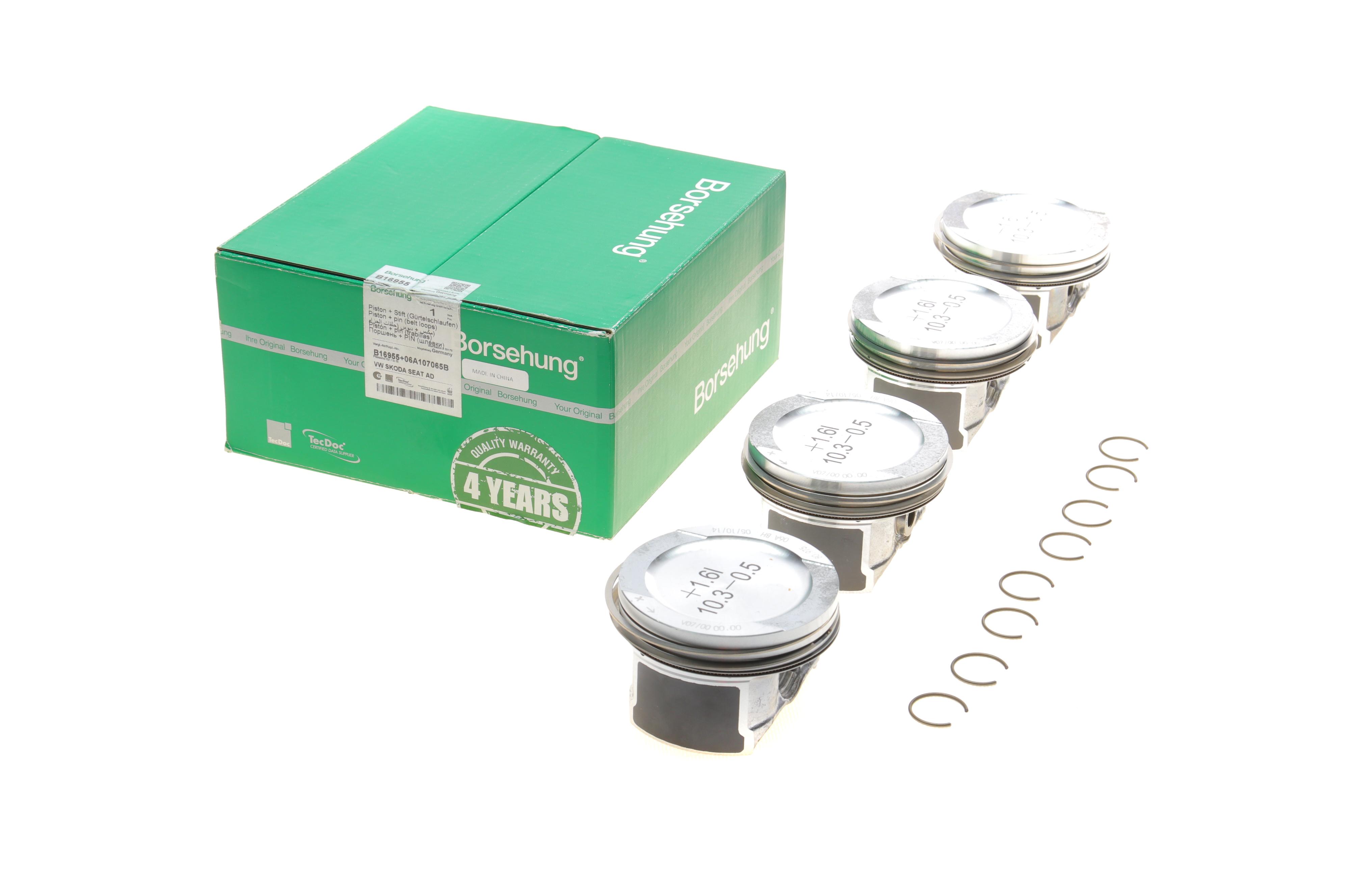 Поршень Audi A3/A4/VW Passat/Caddy 1.6 96-10 (к-кт 4шт.)