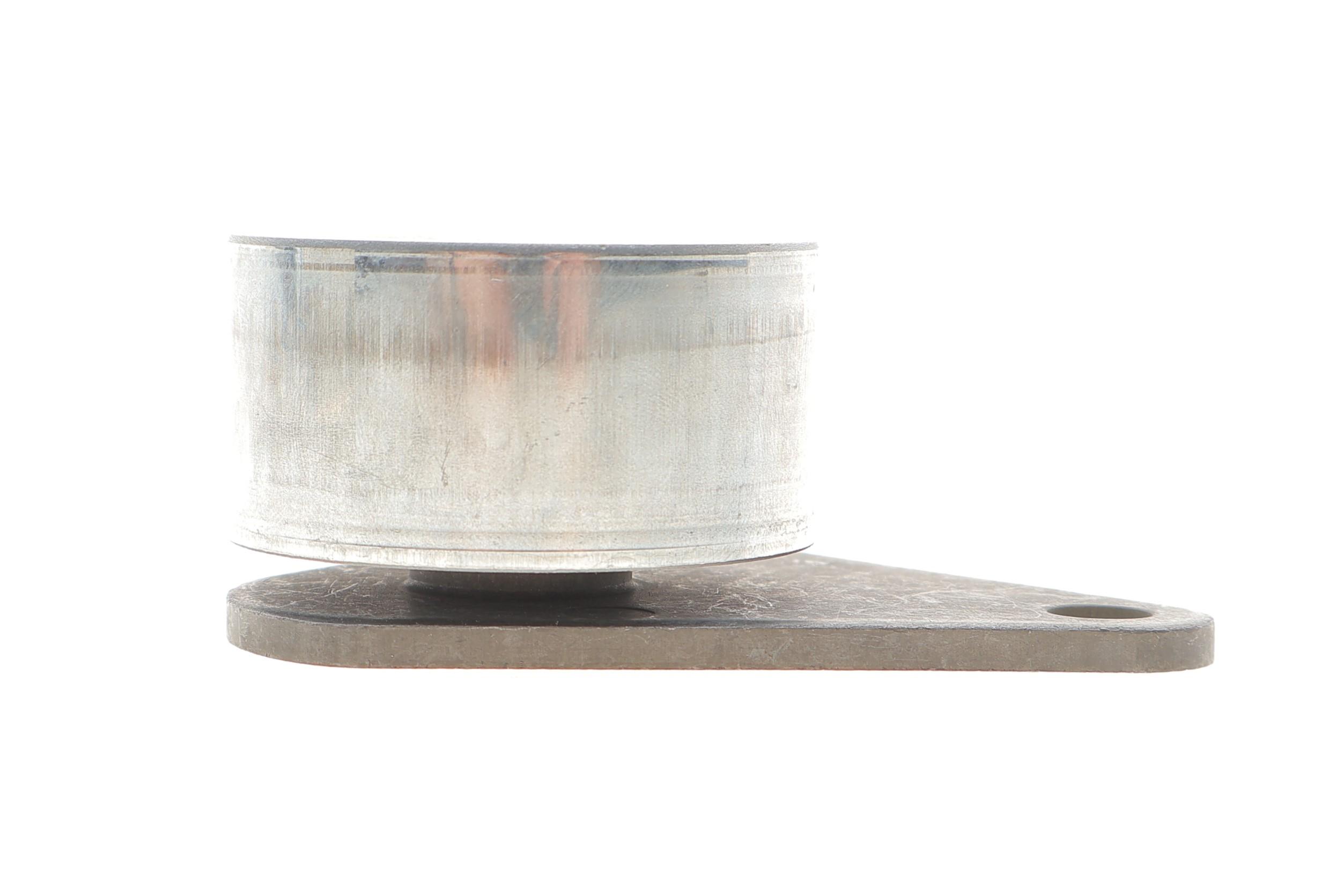 Ролик ГРМ Ford Focus/Renault Laguna 95-11 (паразитний) (53х27)