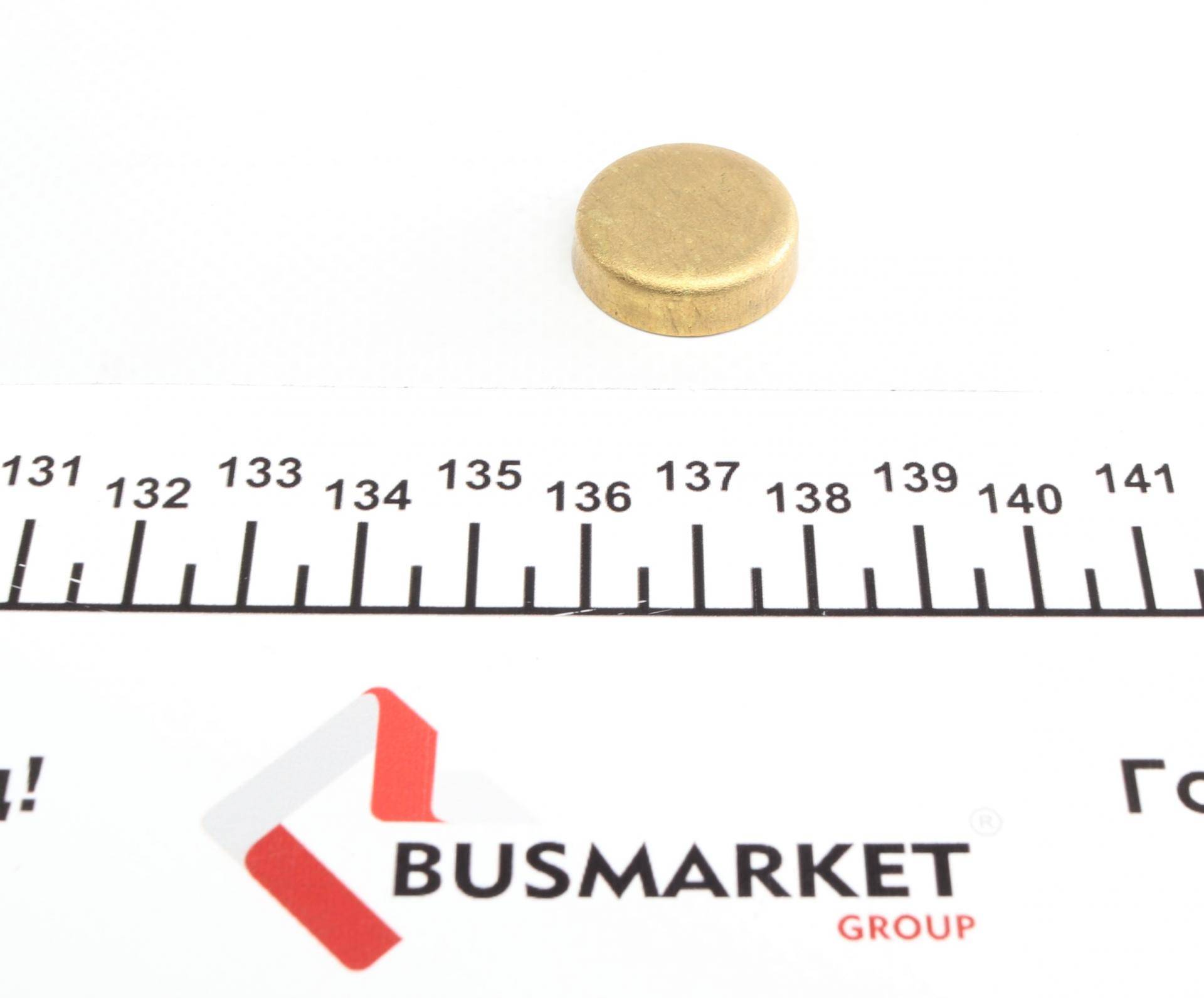 Заглушка блоку циліндрів (d=22,2mm) Латунь/Brass