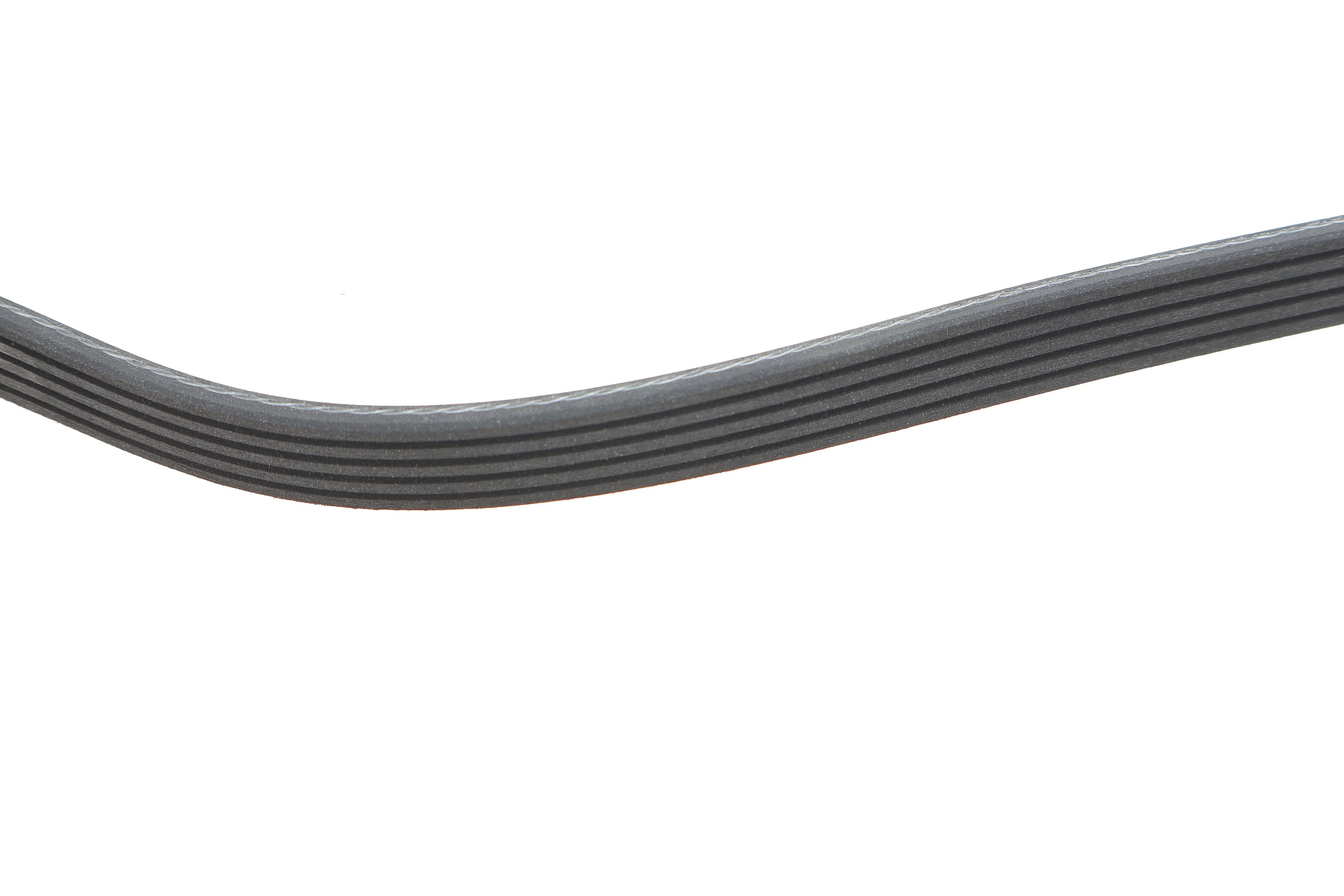 Ремінь генератора Renault Kangoo 1.5 dCi