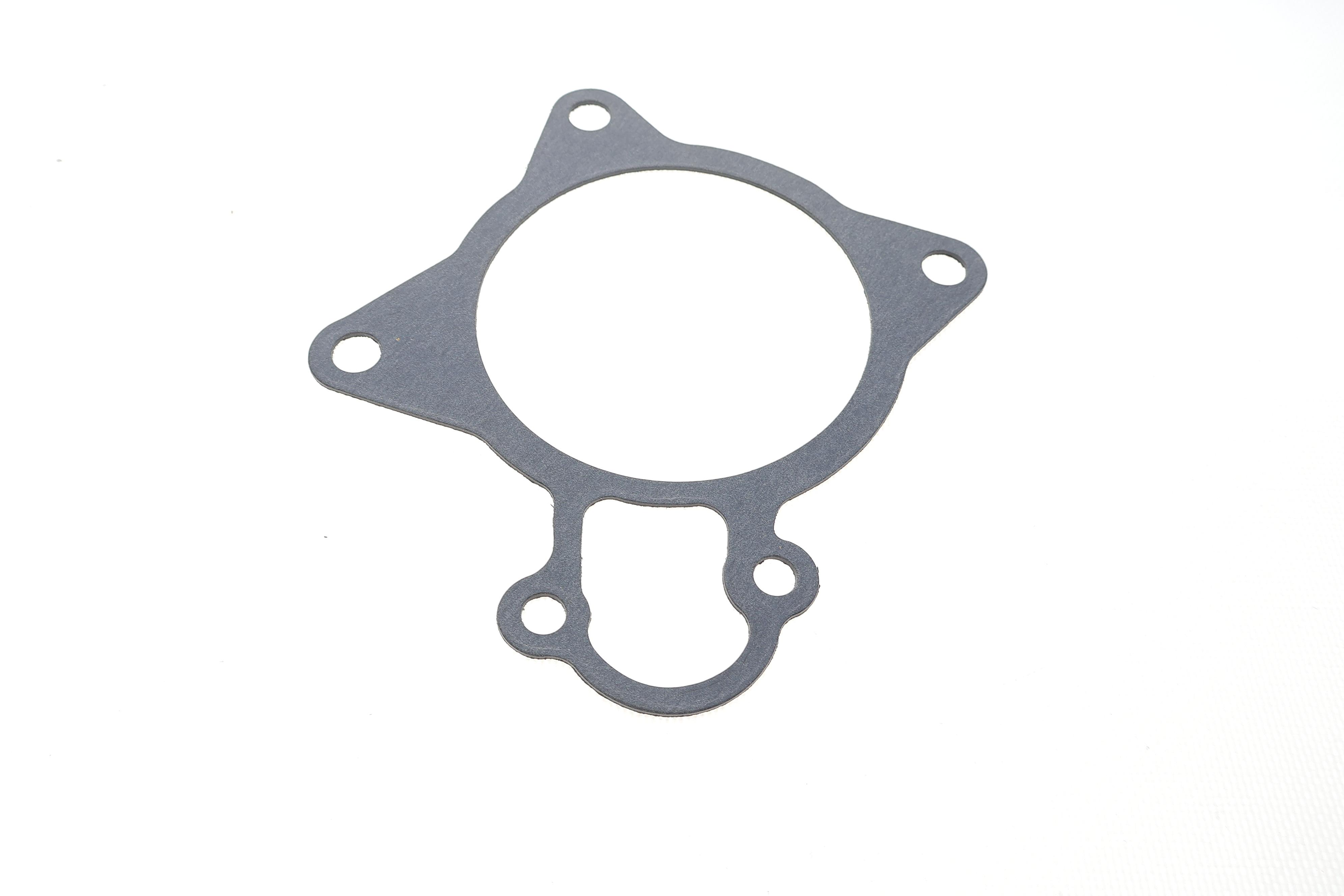 Прокладка помпи води Citroen Jumper/Fiat Ducato/Peugeot Boxer 3.0 HDi 06-