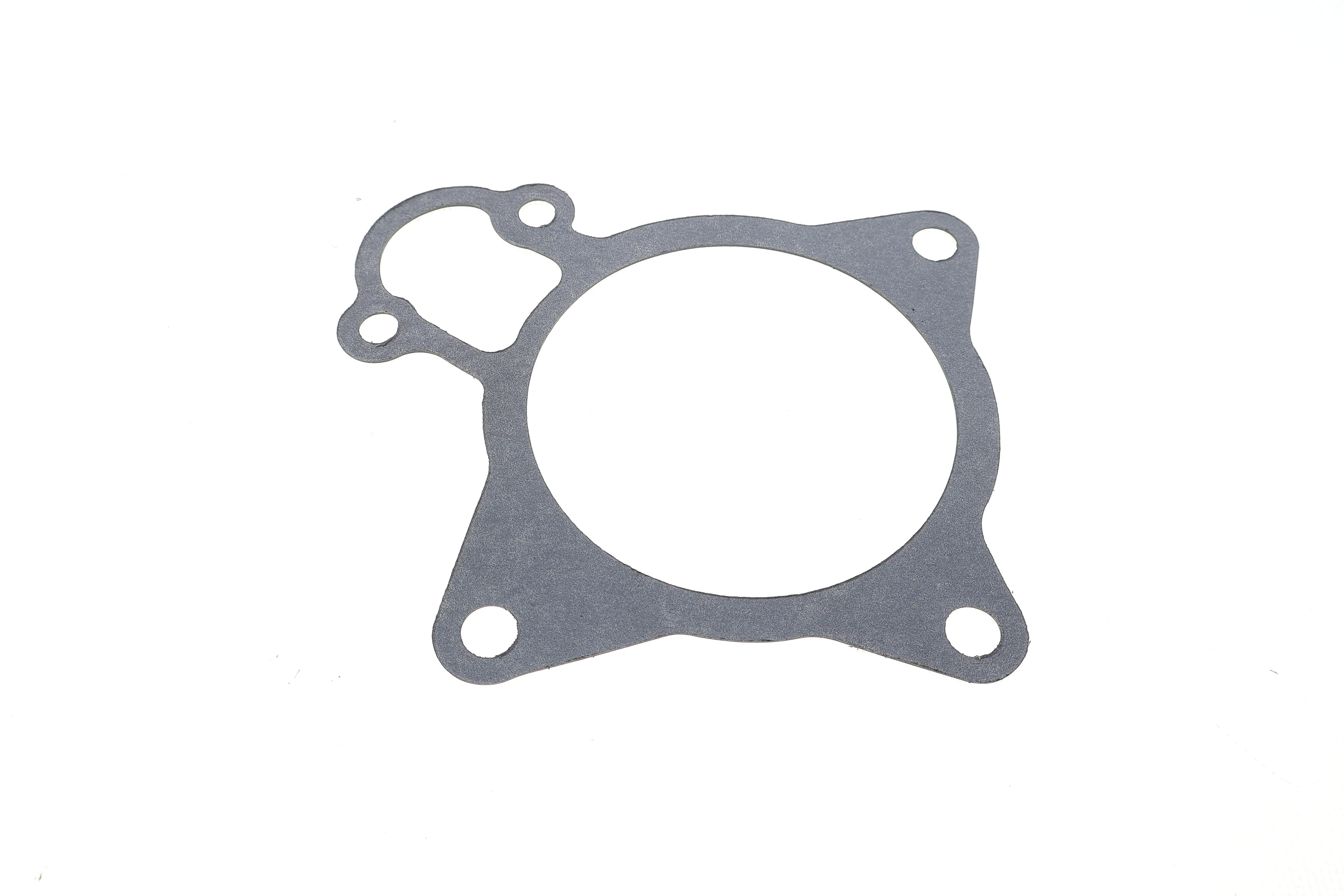 Прокладка помпи води Citroen Jumper/Fiat Ducato/Peugeot Boxer 3.0 HDi 06-