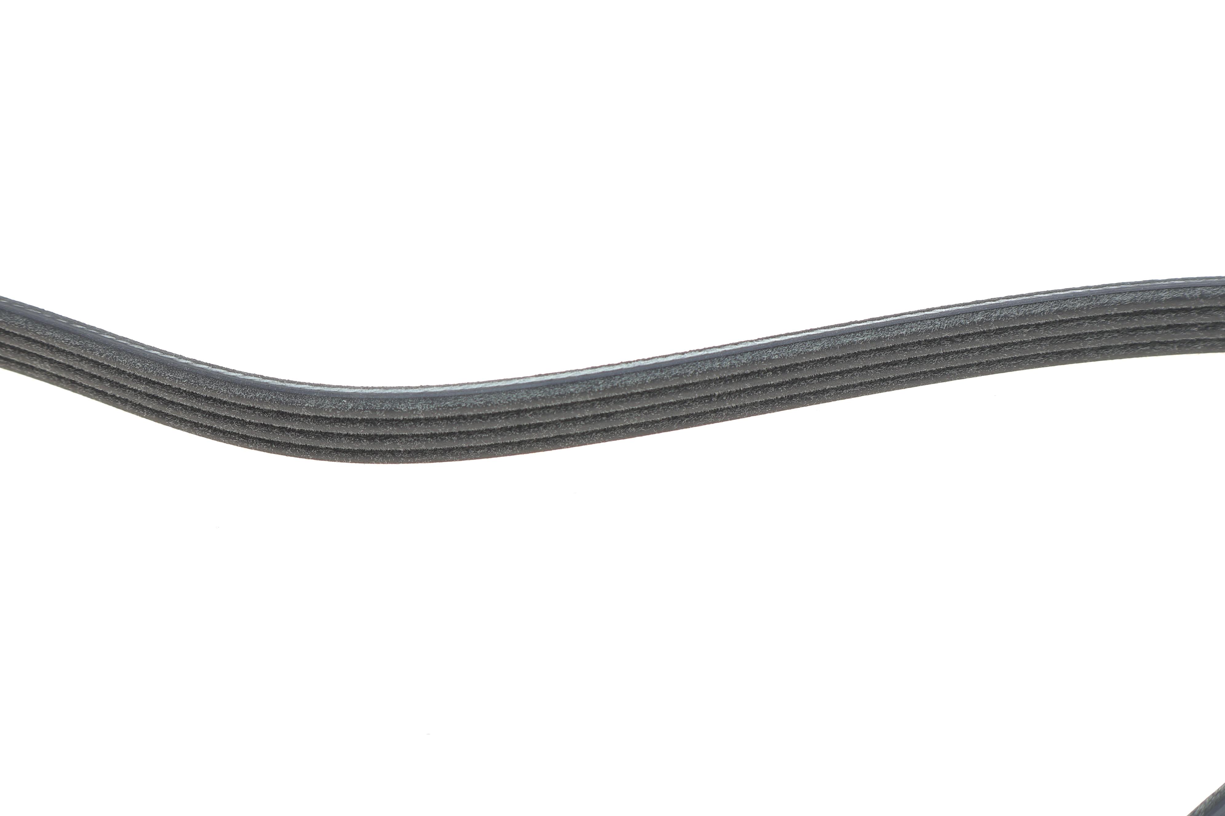 Ремінь генератора BMW 3 (E46)/X3 (E83) 01-07 M47 D20/Fiat Stilo 1.6 16V 01-08