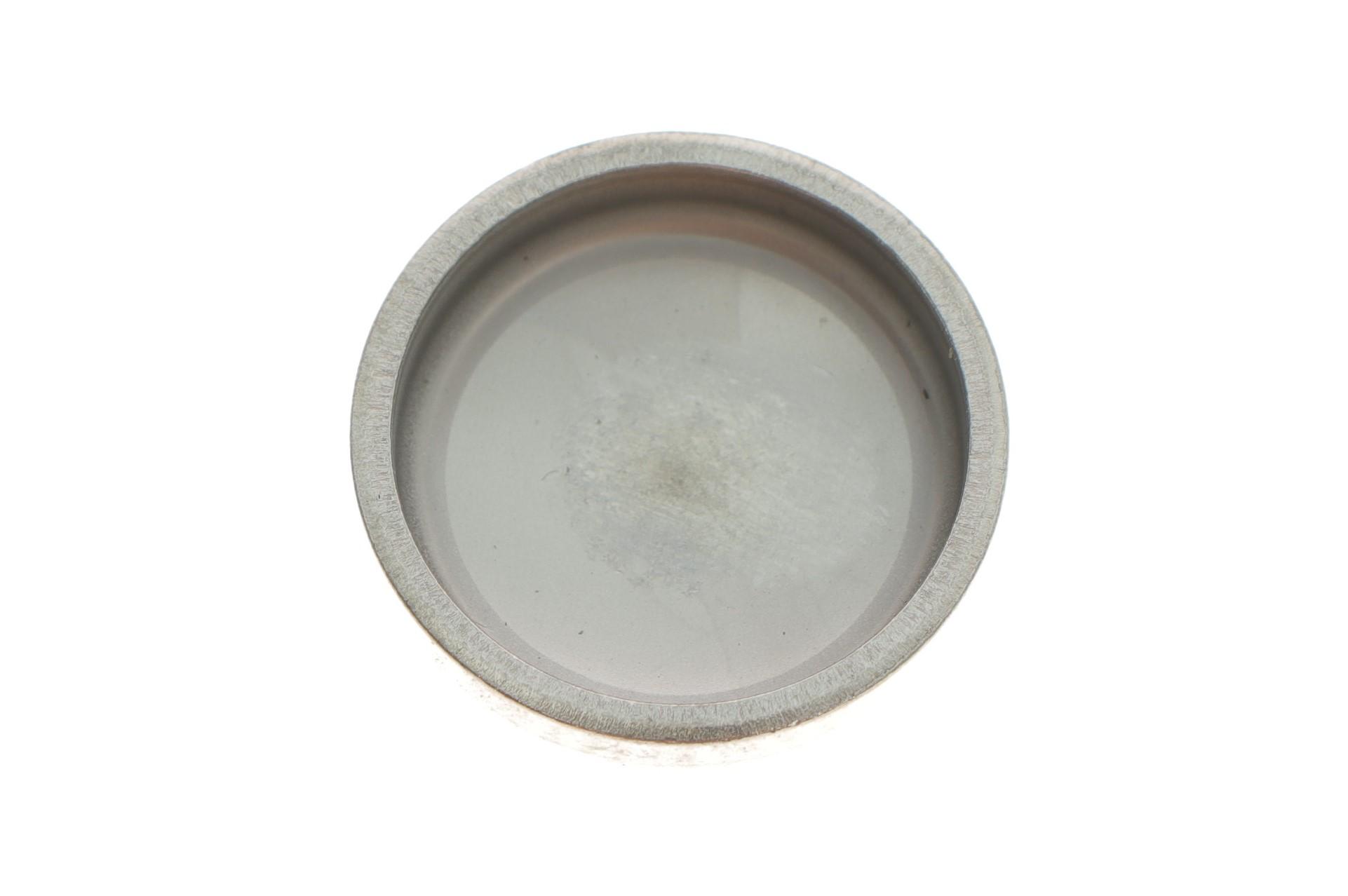 Заглушка блока цилиндров VW Caddy/T4/T5/LT/Crafter (d=24)