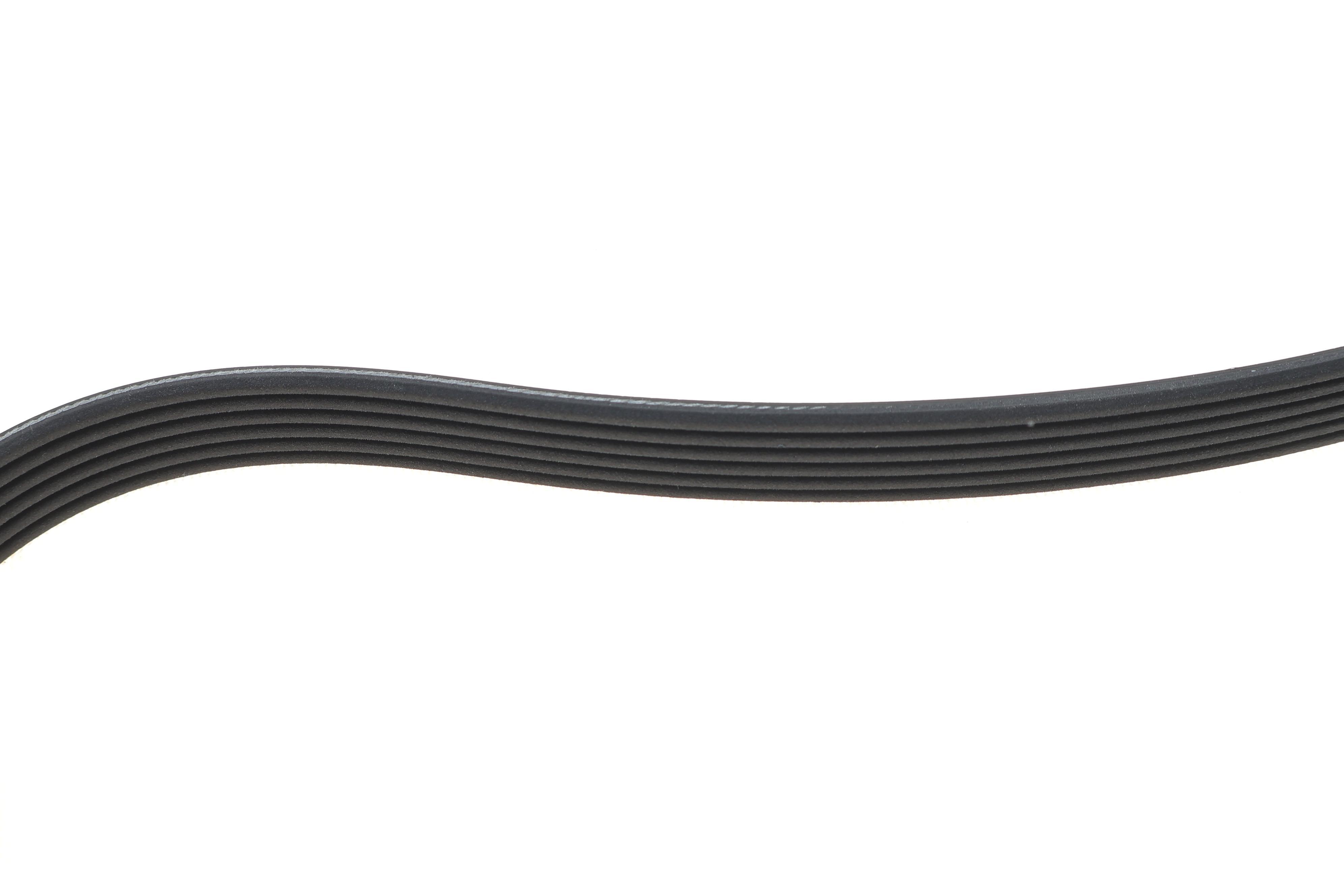 Комплект ременя генератора Citroen Jumpy/Fiat Ducato/Peugeot Boxer 2.2HDi 06- (6PK1670)