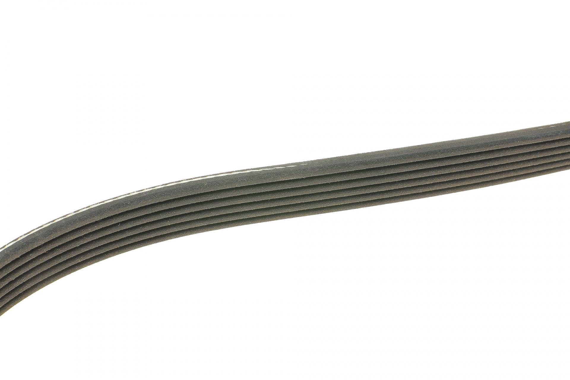 Ремінь генератора Fiat Scudo/Peugeot Expert 1.6 96-06