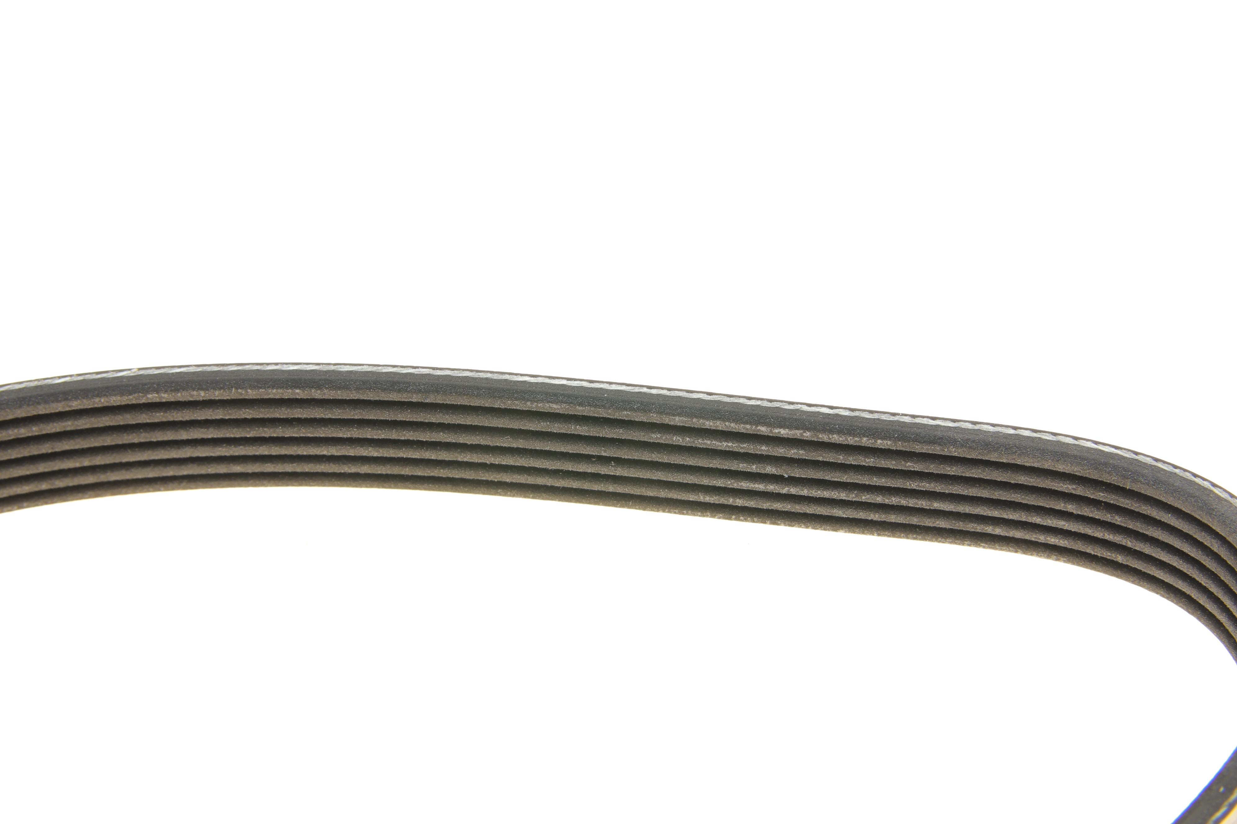 Ремінь генератора Ford Focus/C-Max 1.4-1.6i 03-