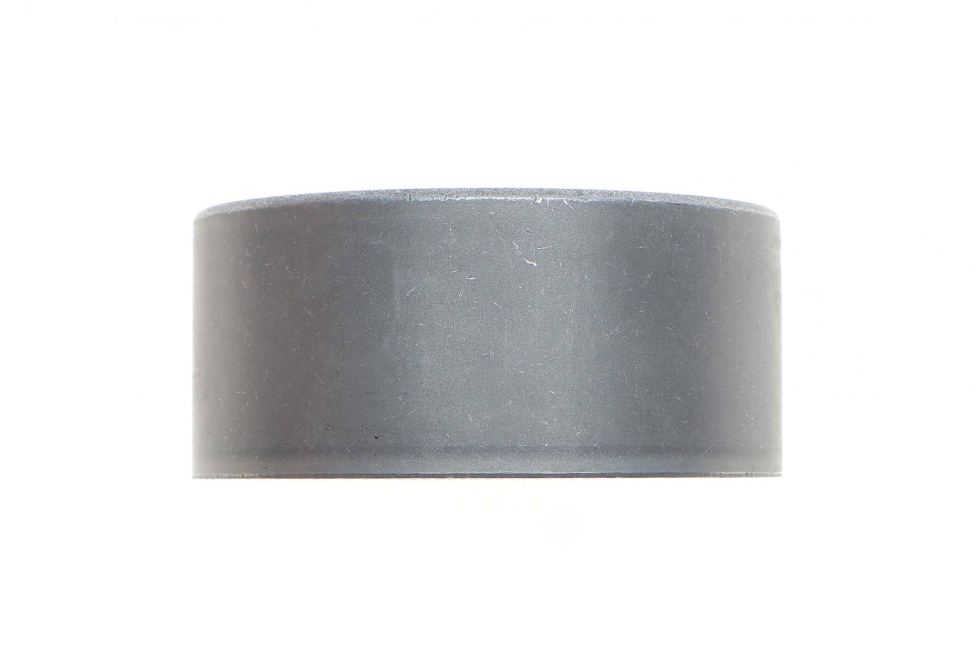 Ролик ГРМ Opel Astra G/H/J 02- (паразитний) (61x28)