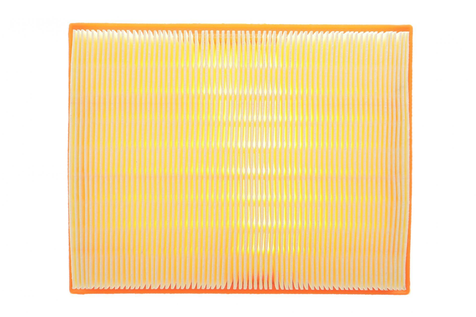 Фільтр повітряний Renault Austral/Espace/Rafale 22-